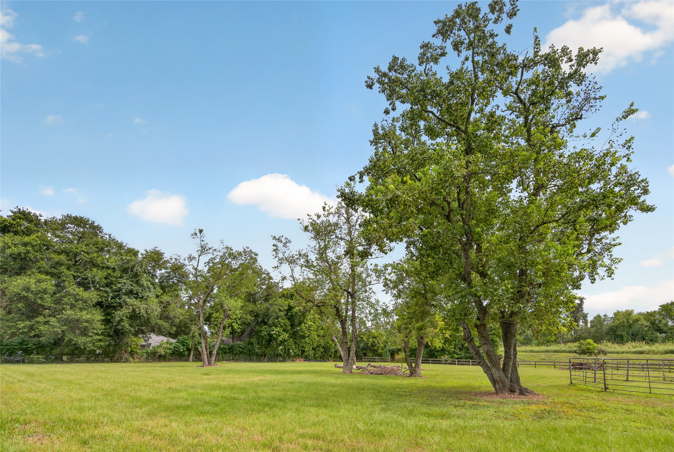 Tbd Michael Wayne Road Property Photo 4