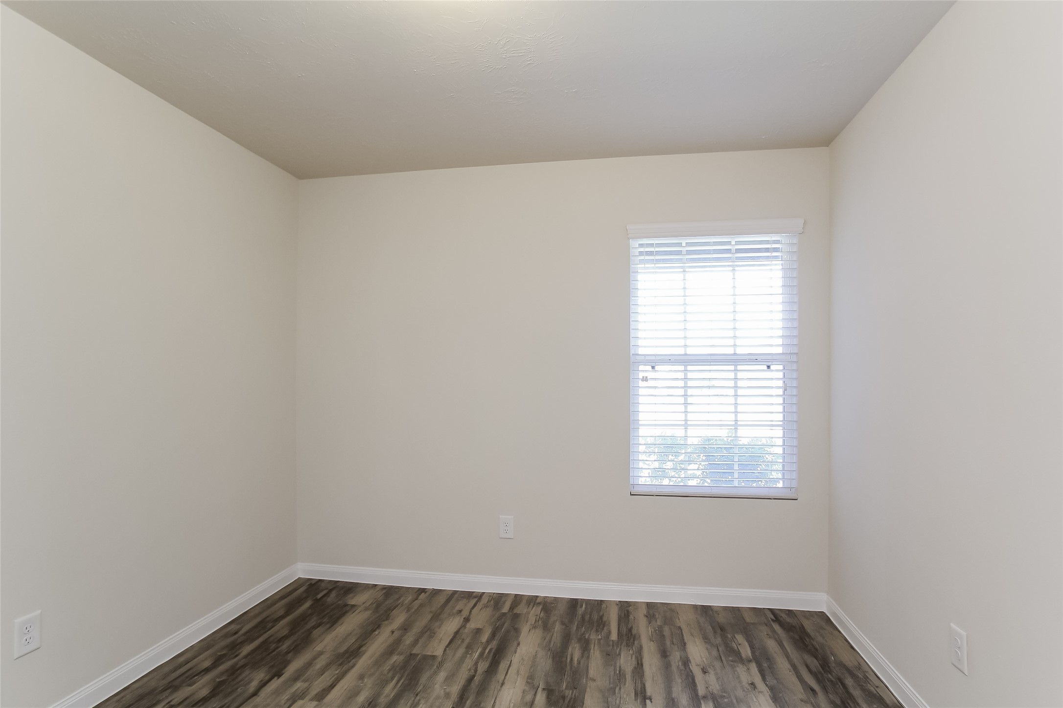 24026 Avogadro Drive Property Photo 6