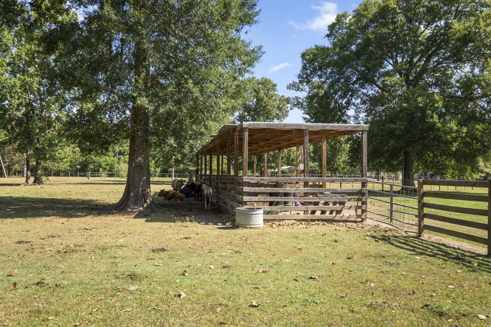 20585 Sh 146 N Property Photo 31