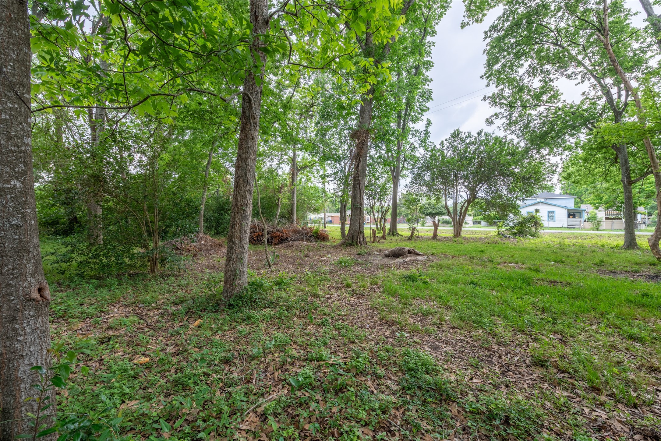 4102 Kinkaid Street Property Photo 13