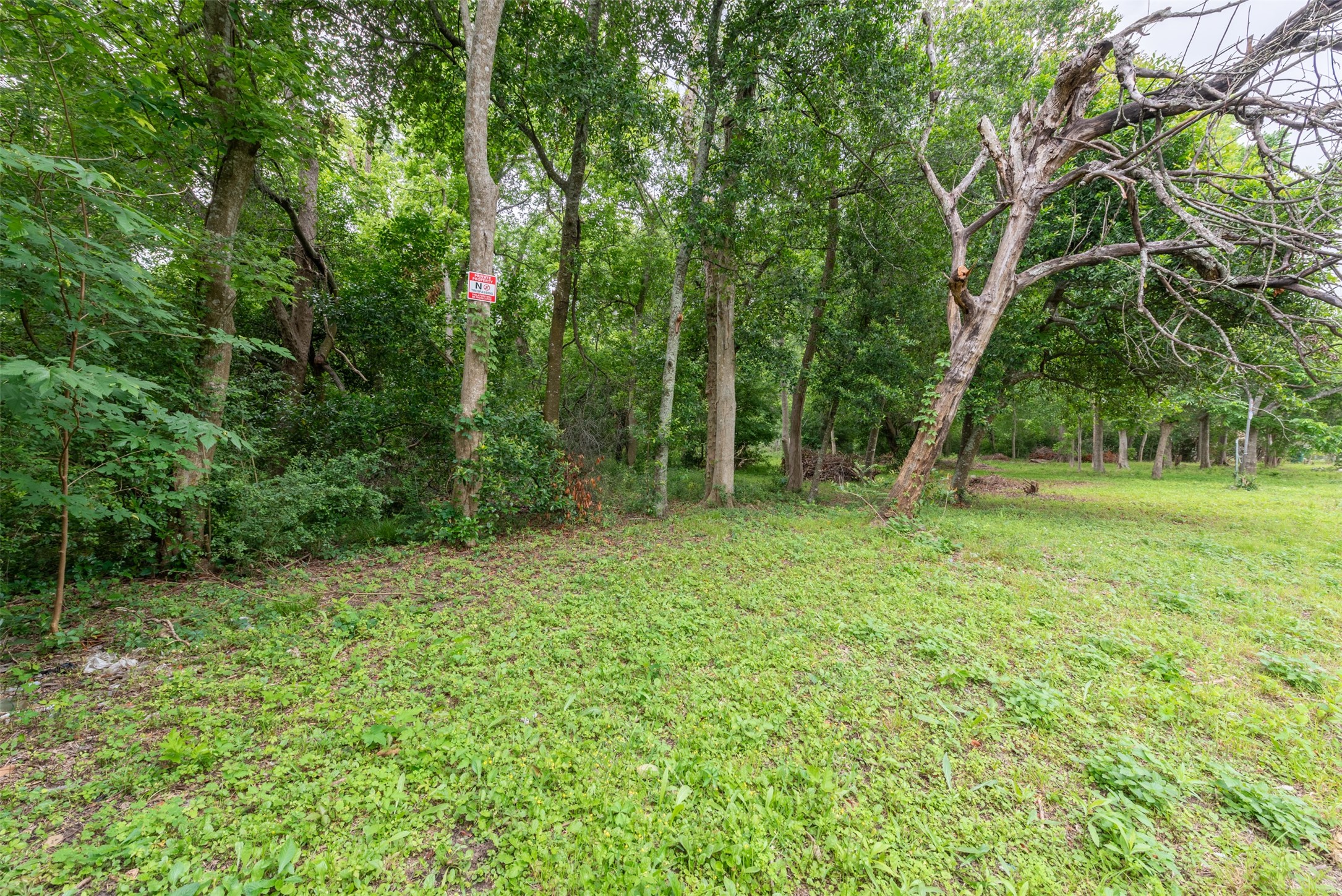 4102 Kinkaid Street Property Photo 16