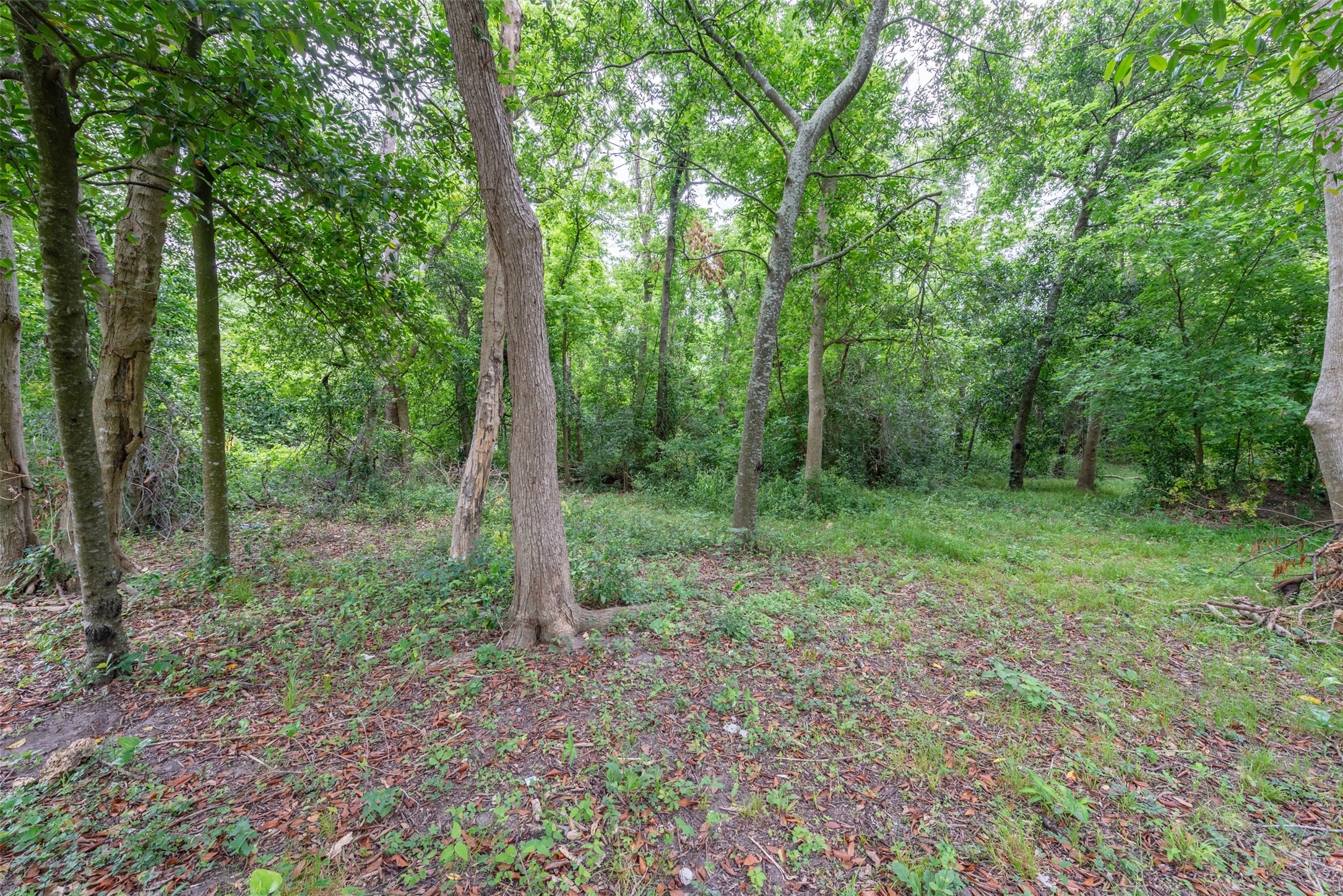 4102 Kinkaid Street Property Photo 17