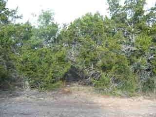 00 Old Trail Drive Property Photo 1