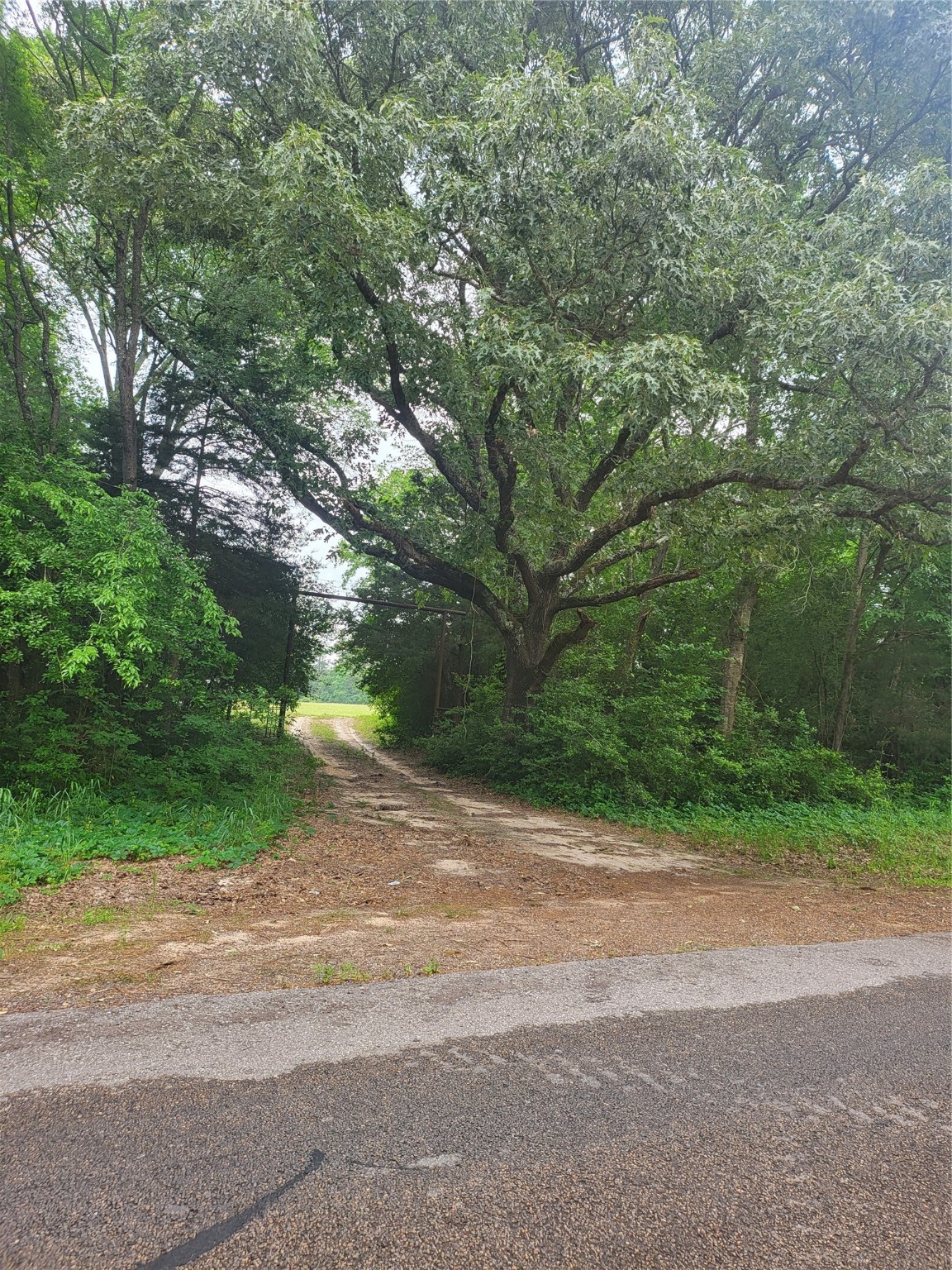 Fm 227w Tbd And Hayesspring Rd Property Photo