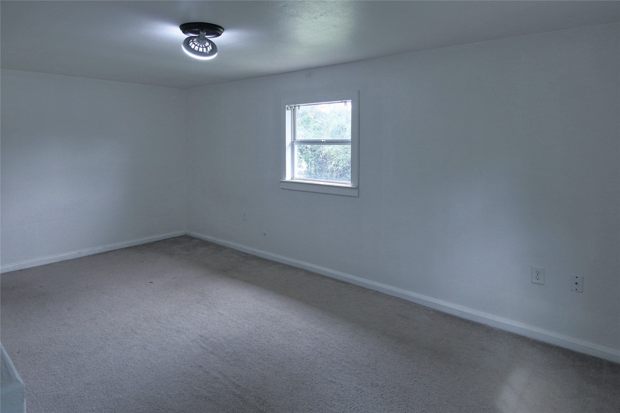 15114 Firetower Road Property Photo 11