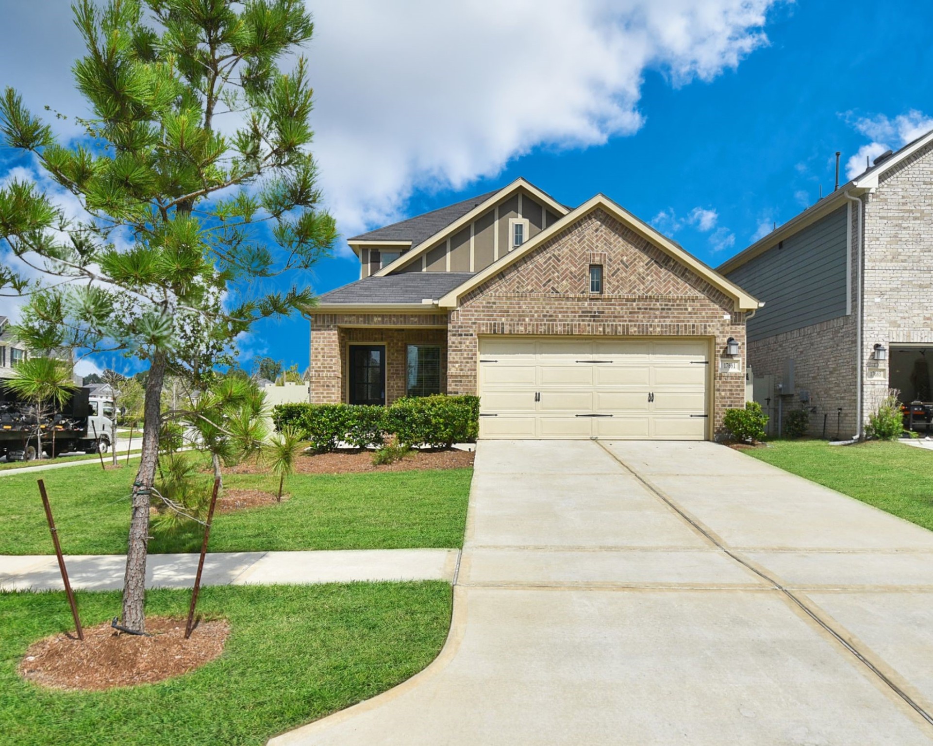 17681 Tree Of Heaven Property Photo