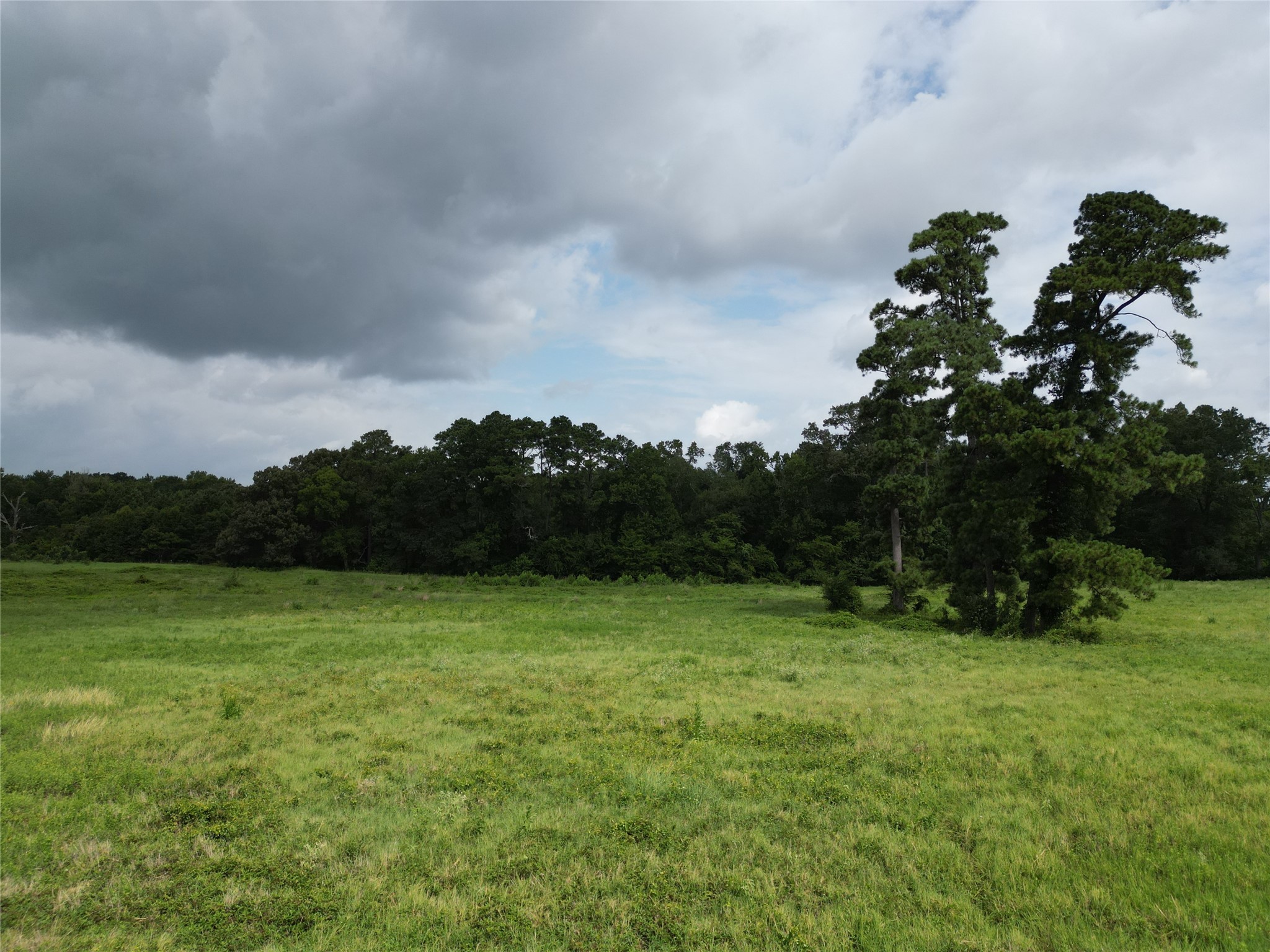 10.01 Acres Northview Trail Property Photo 5