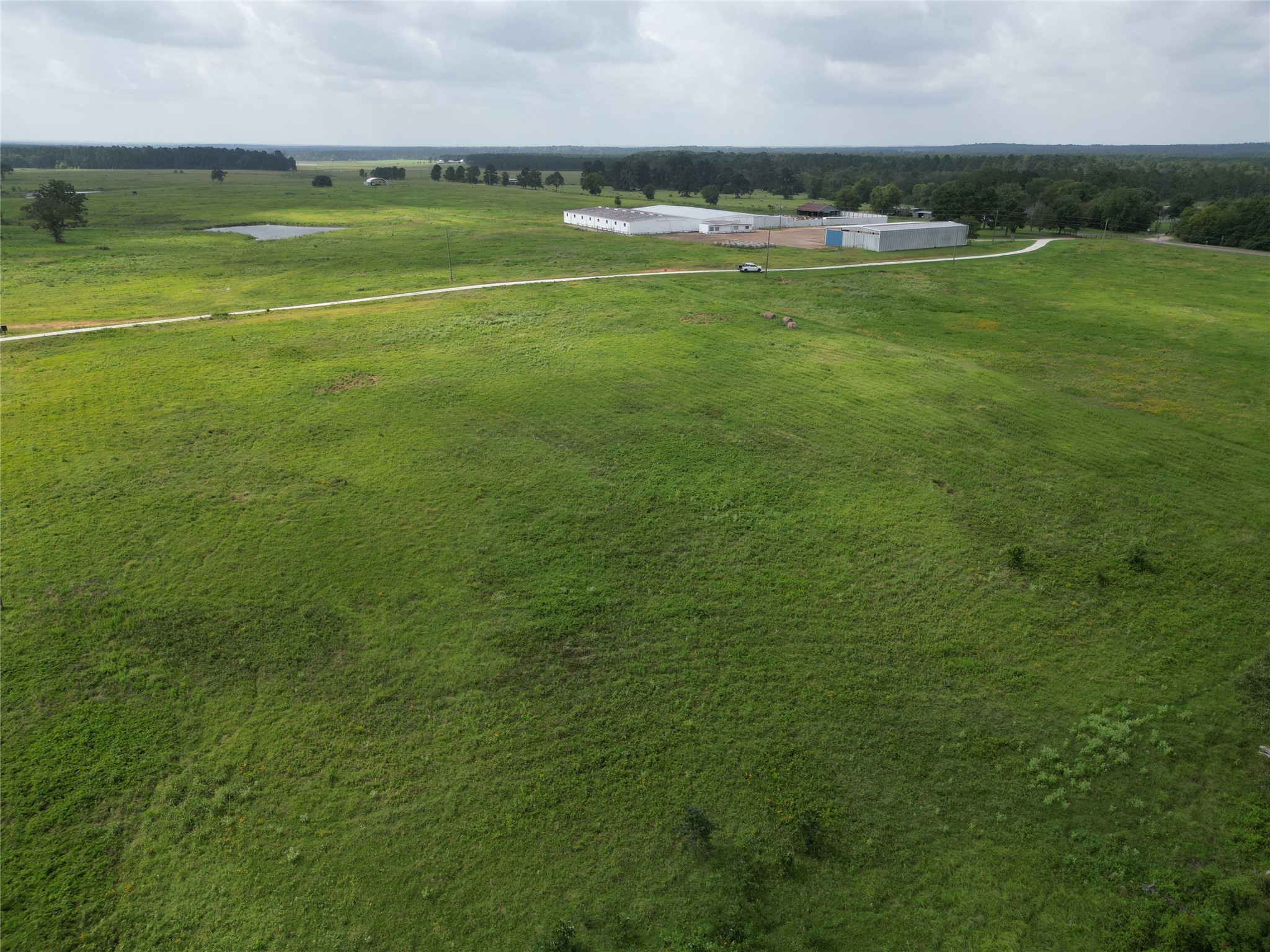 10.01 Acres Northview Trail Property Photo 8