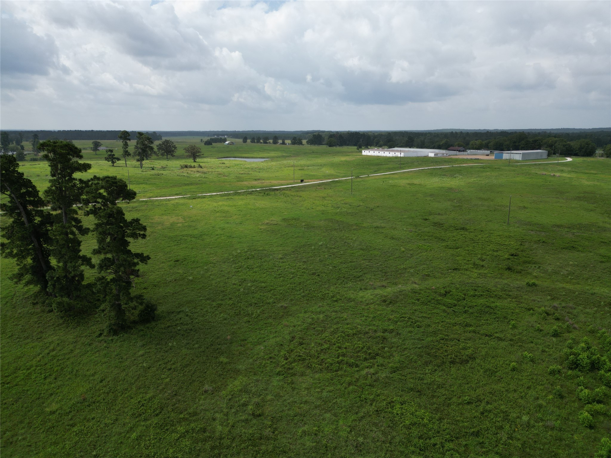 10.01 Acres Northview Trail Property Photo 9