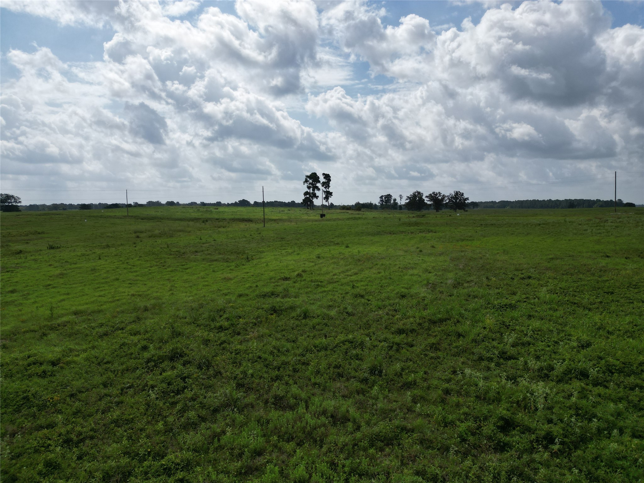 10.01 Acres Northview Trail Property Photo 12