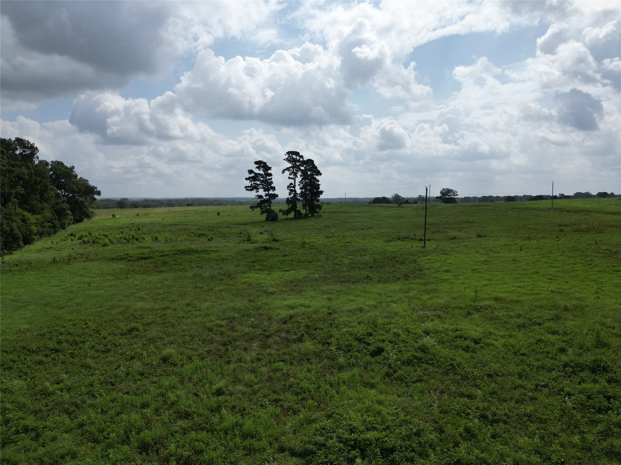 10.01 Acres Northview Trail Property Photo 19