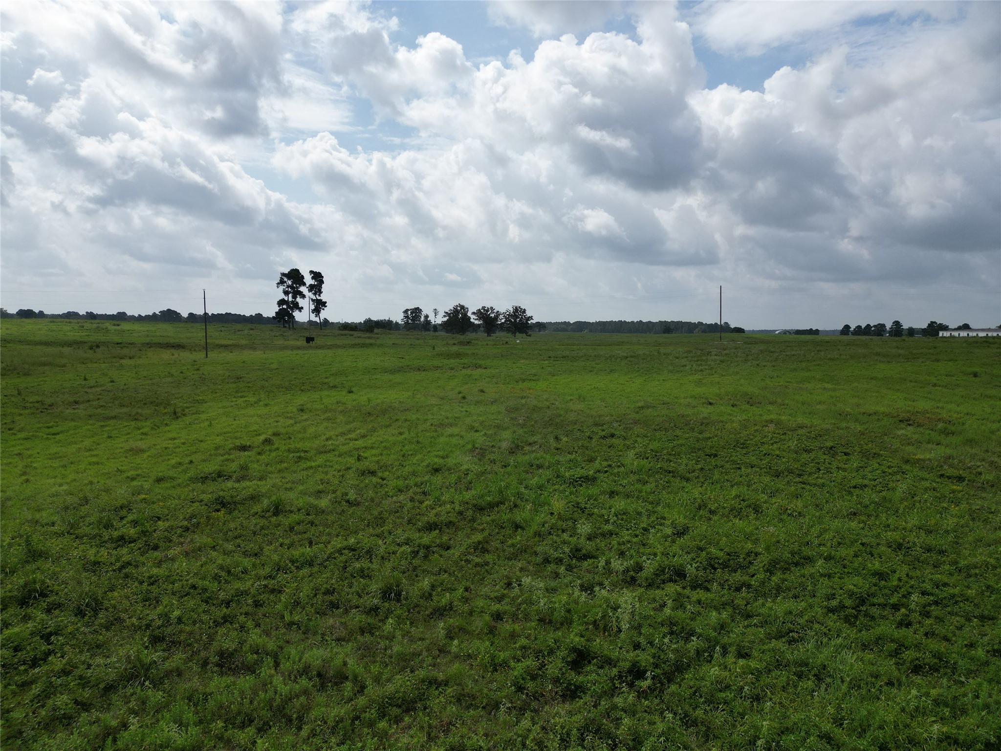 10.01 Acres Northview Trail Property Photo 20