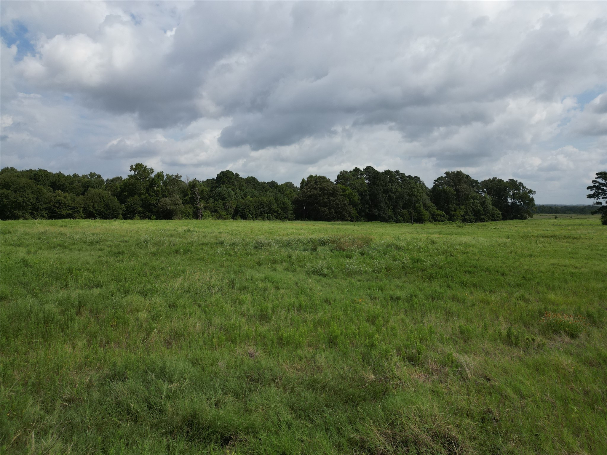 10.01 Acres Northview Trail Property Photo 25