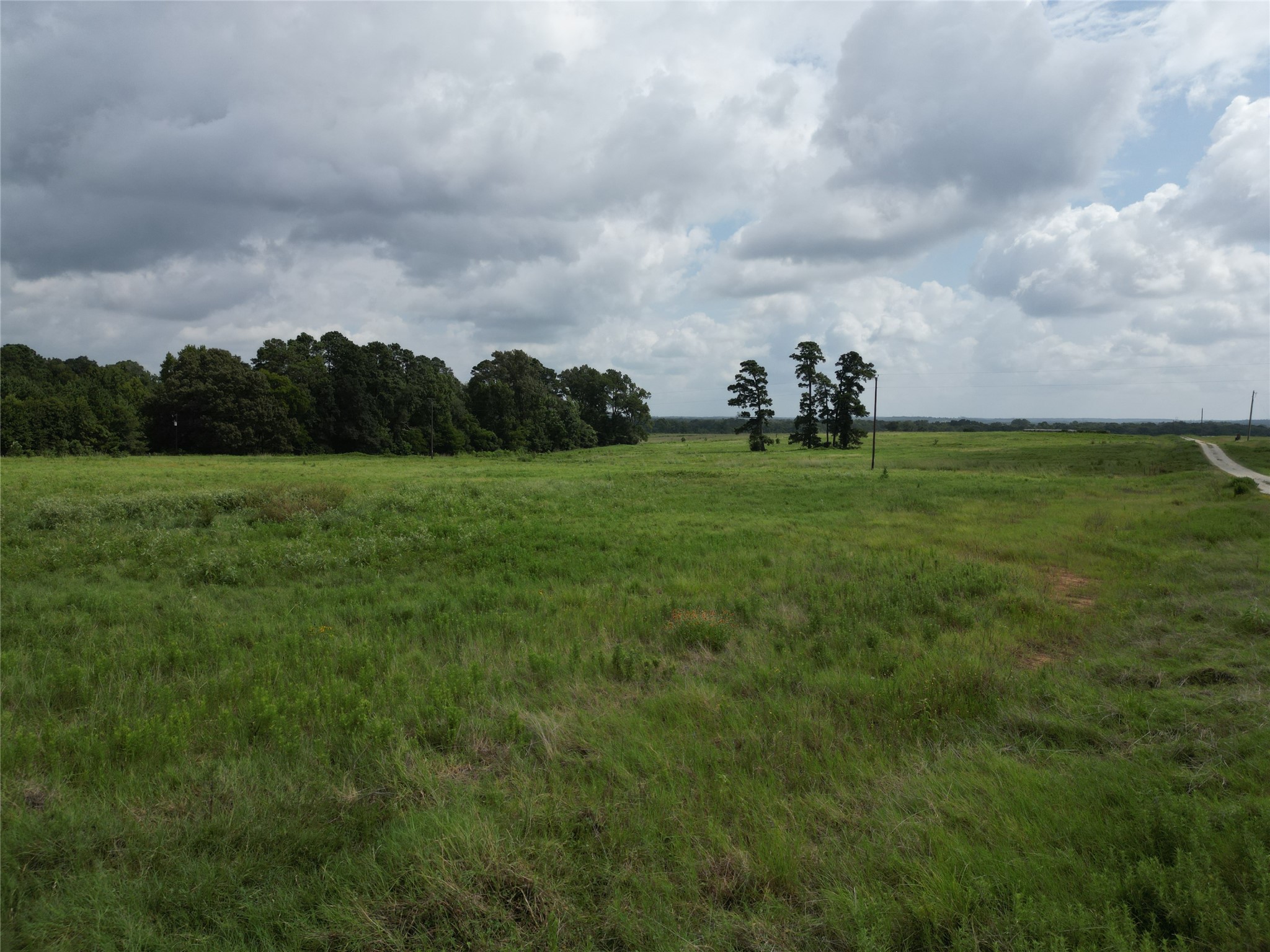 10.01 Acres Northview Trail Property Photo 26