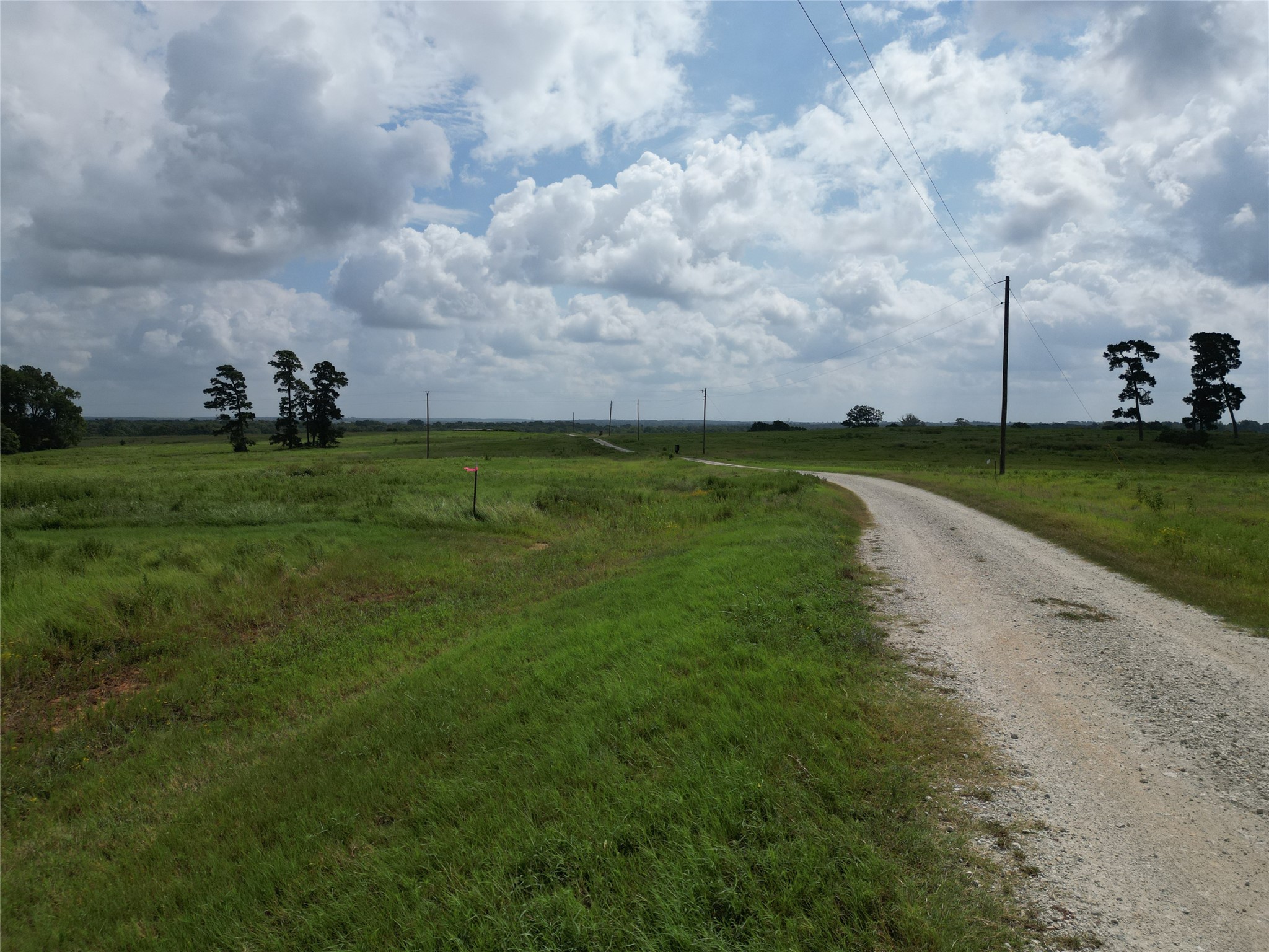 10.01 Acres Northview Trail Property Photo 28