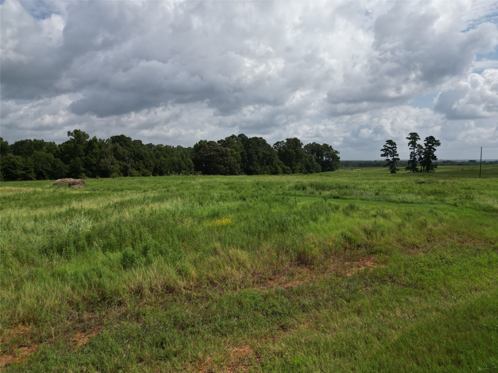 10.01 Acres Northview Trail Property Photo 29