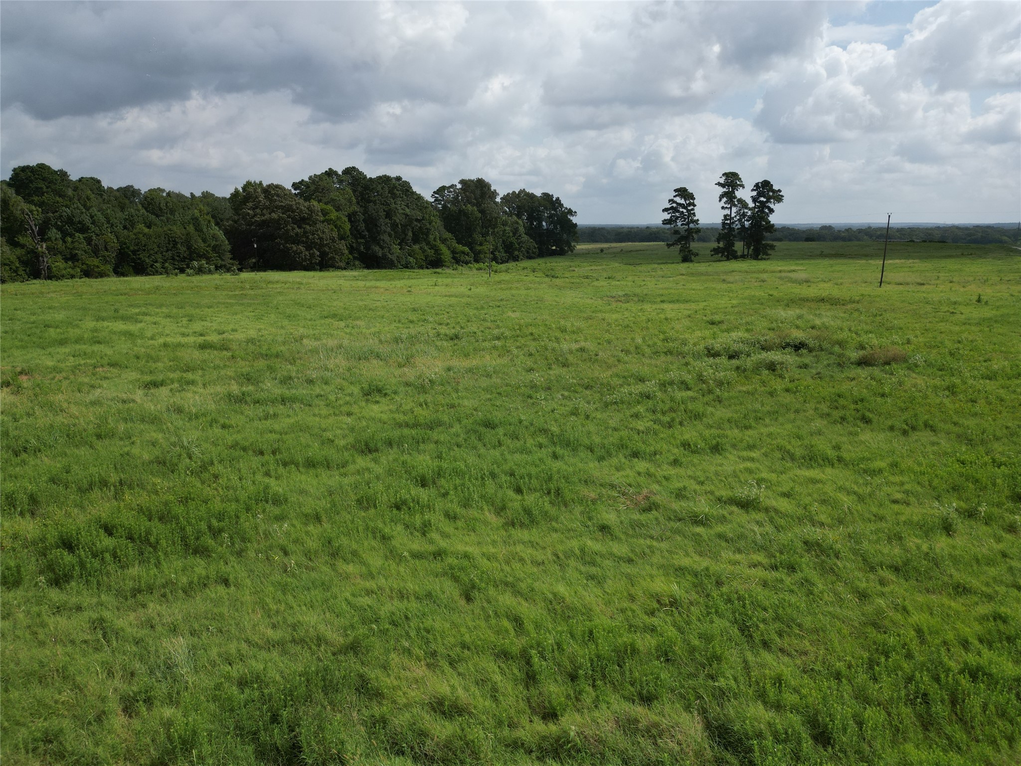 10.01 Acres Northview Trail Property Photo 30
