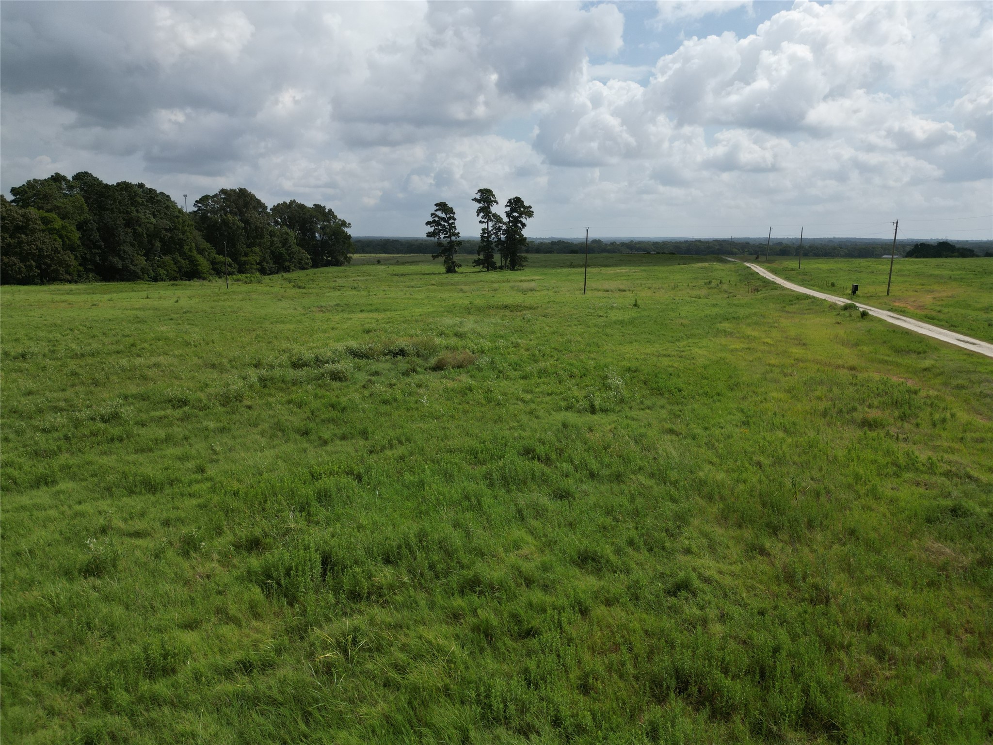 10.01 Acres Northview Trail Property Photo 32