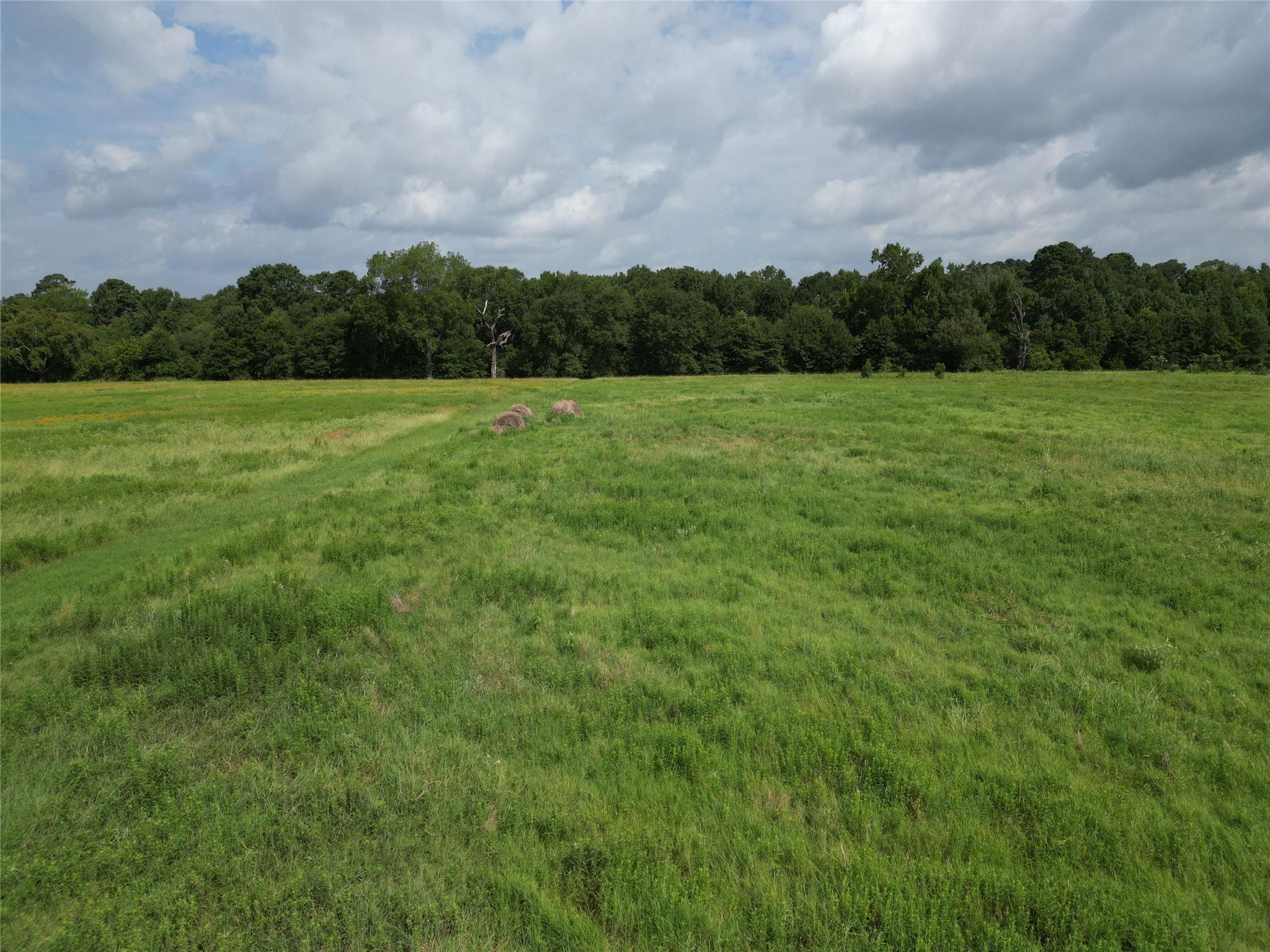 10.01 Acres Northview Trail Property Photo 34