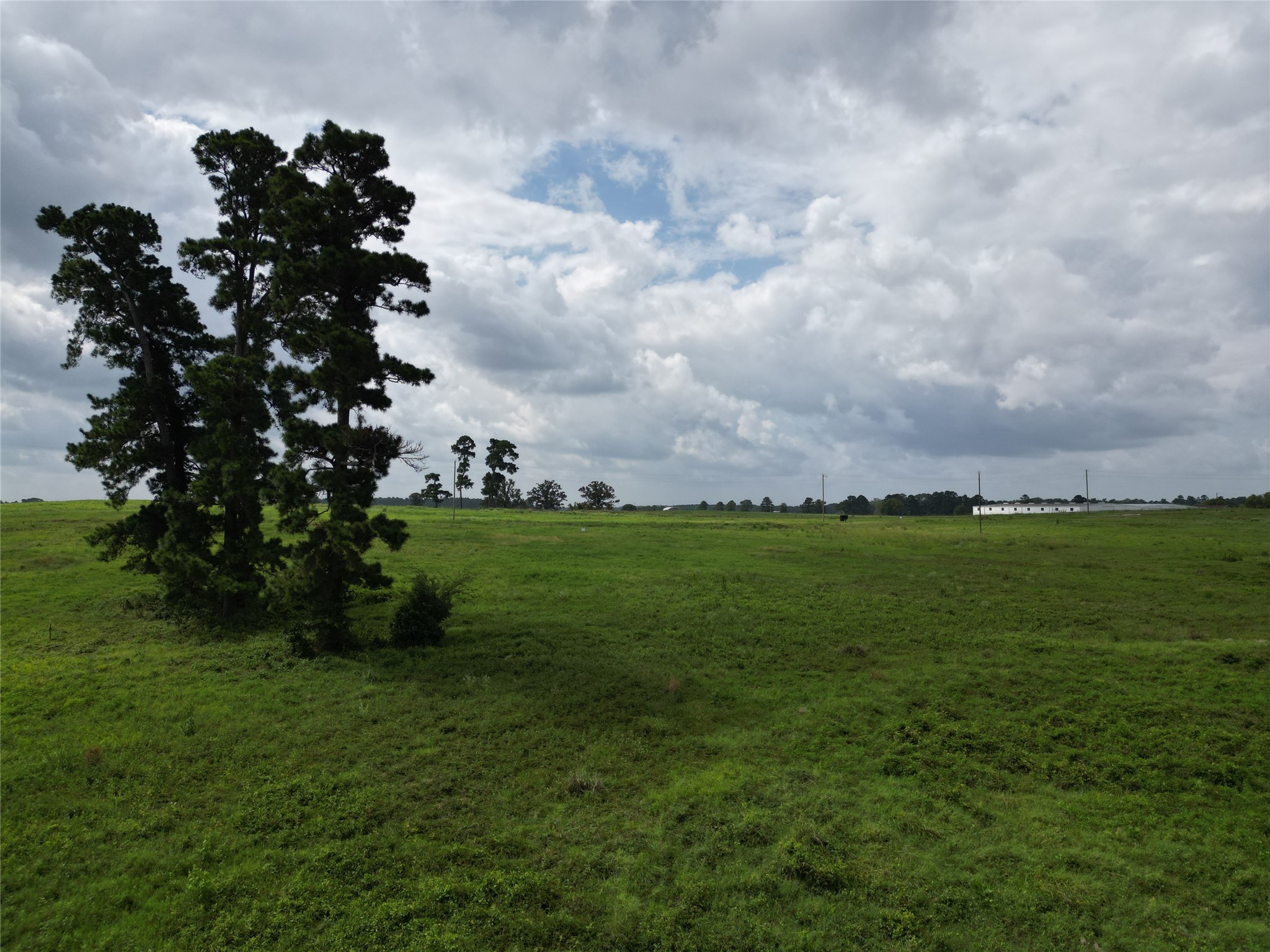 10.01 Acres Northview Trail Property Photo 38