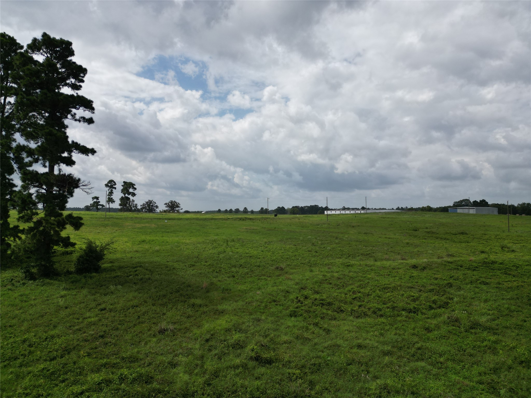 10.01 Acres Northview Trail Property Photo 44