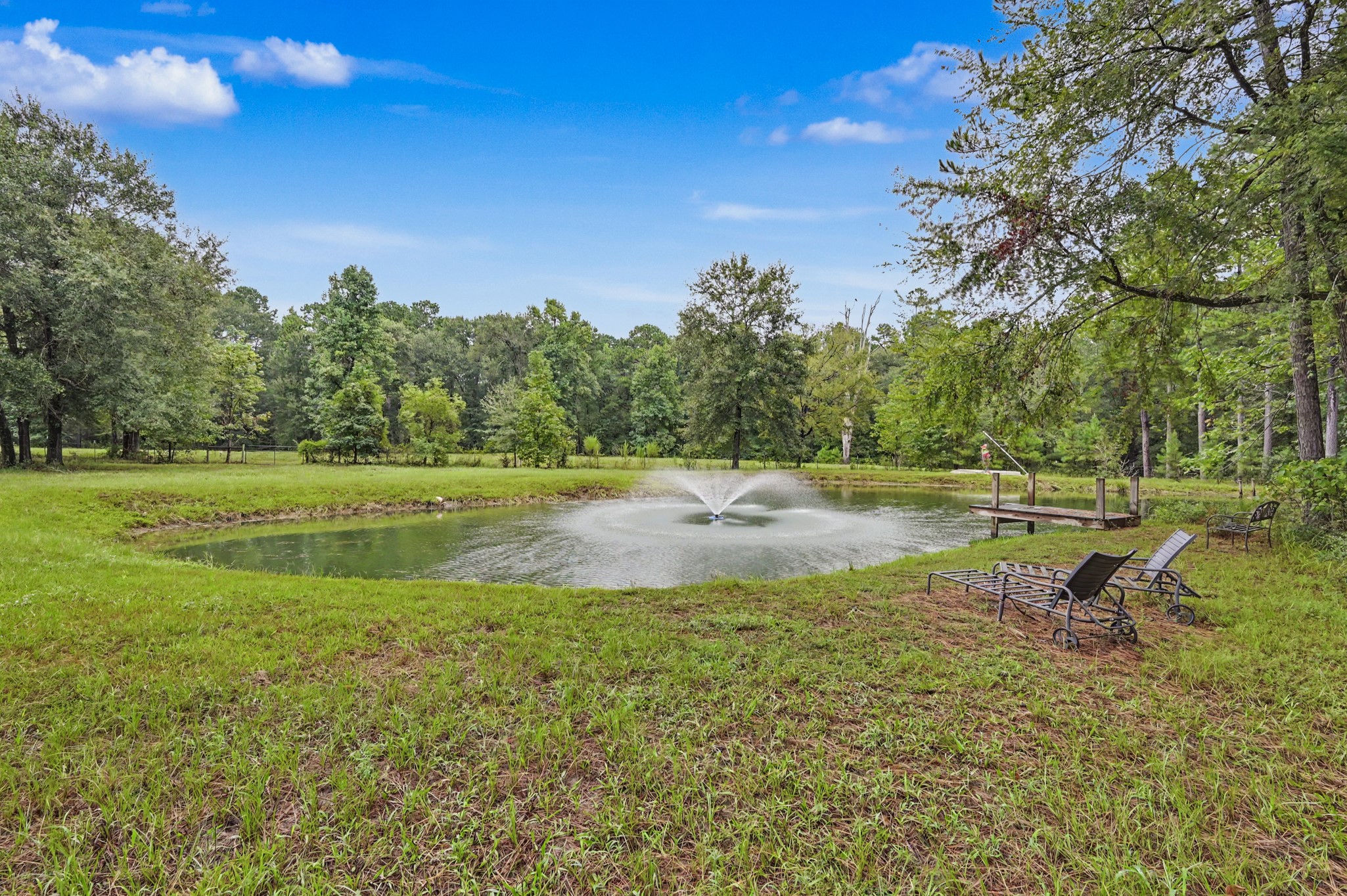 23421 Martha Williams Road Property Photo 10