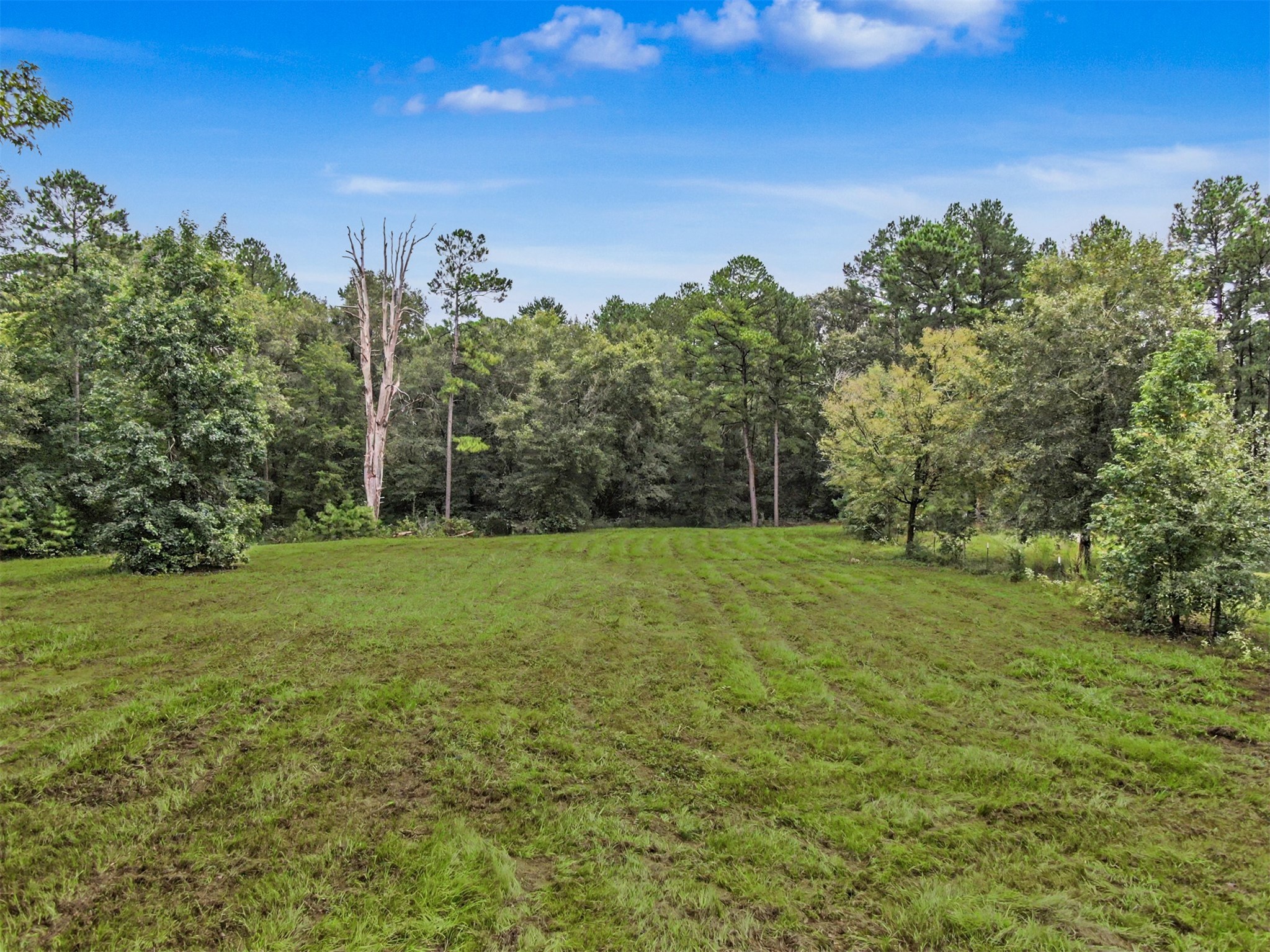 23421 Martha Williams Road Property Photo 39