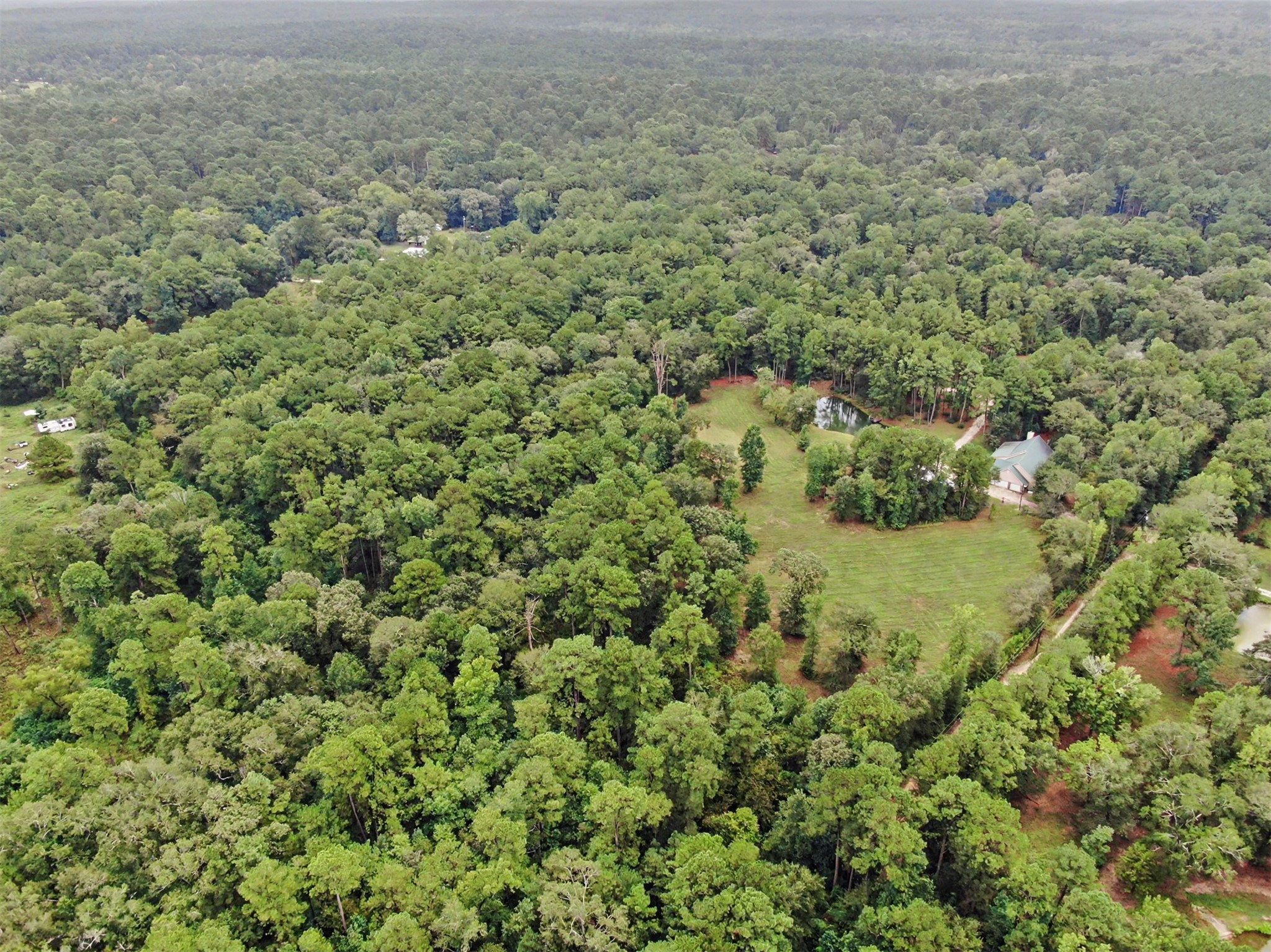 23421 Martha Williams Road Property Photo 49