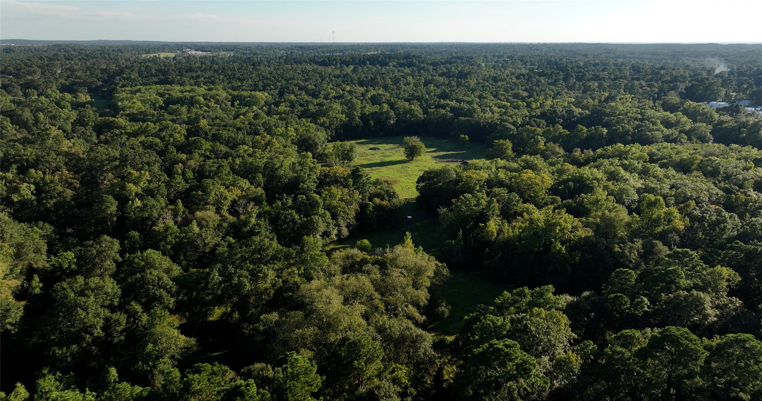 195 Ac Fm 149 Rd Property Photo 3
