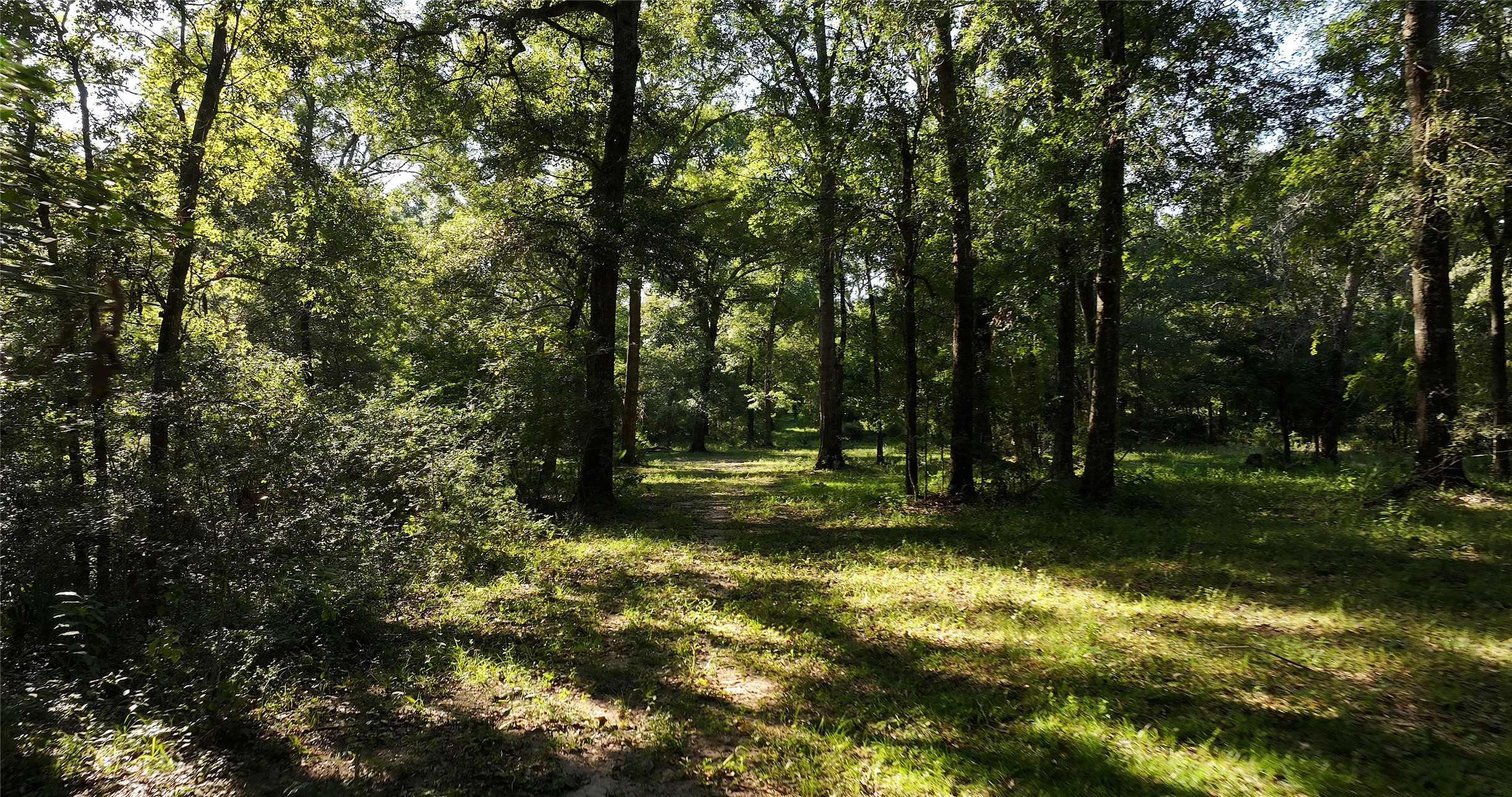 195 Ac Fm 149 Rd Property Photo 4