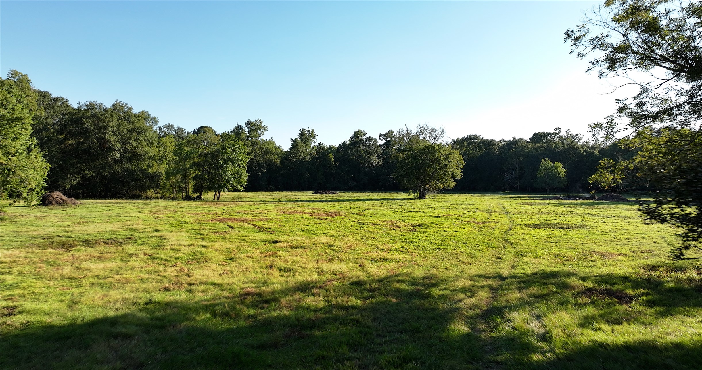 195 Ac Fm 149 Rd Property Photo 5