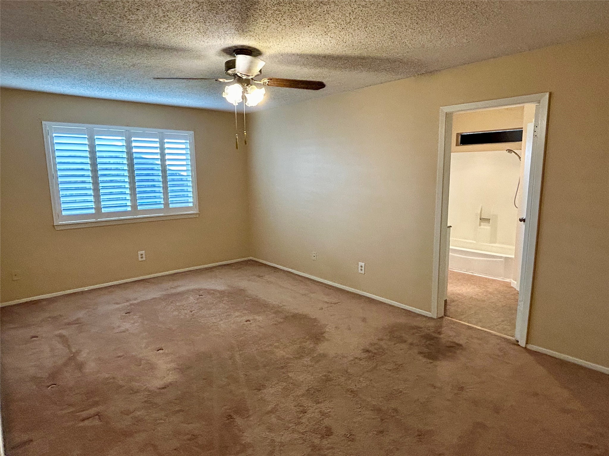 22330 Coriander Drive Property Photo 12