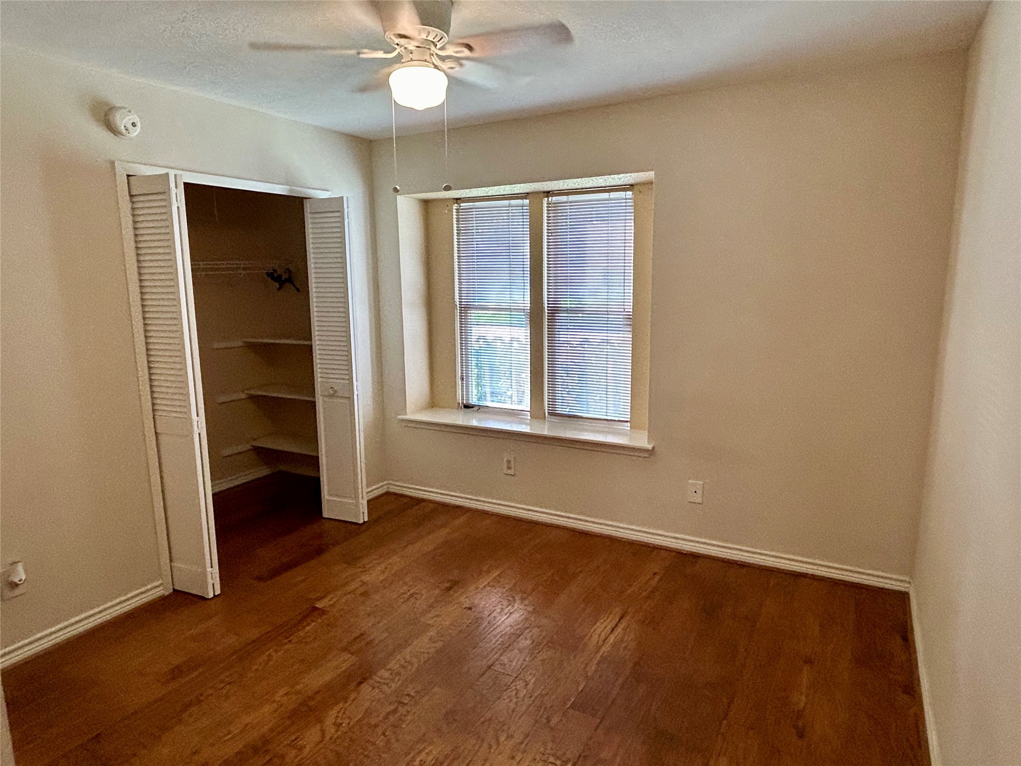 22330 Coriander Drive Property Photo 16