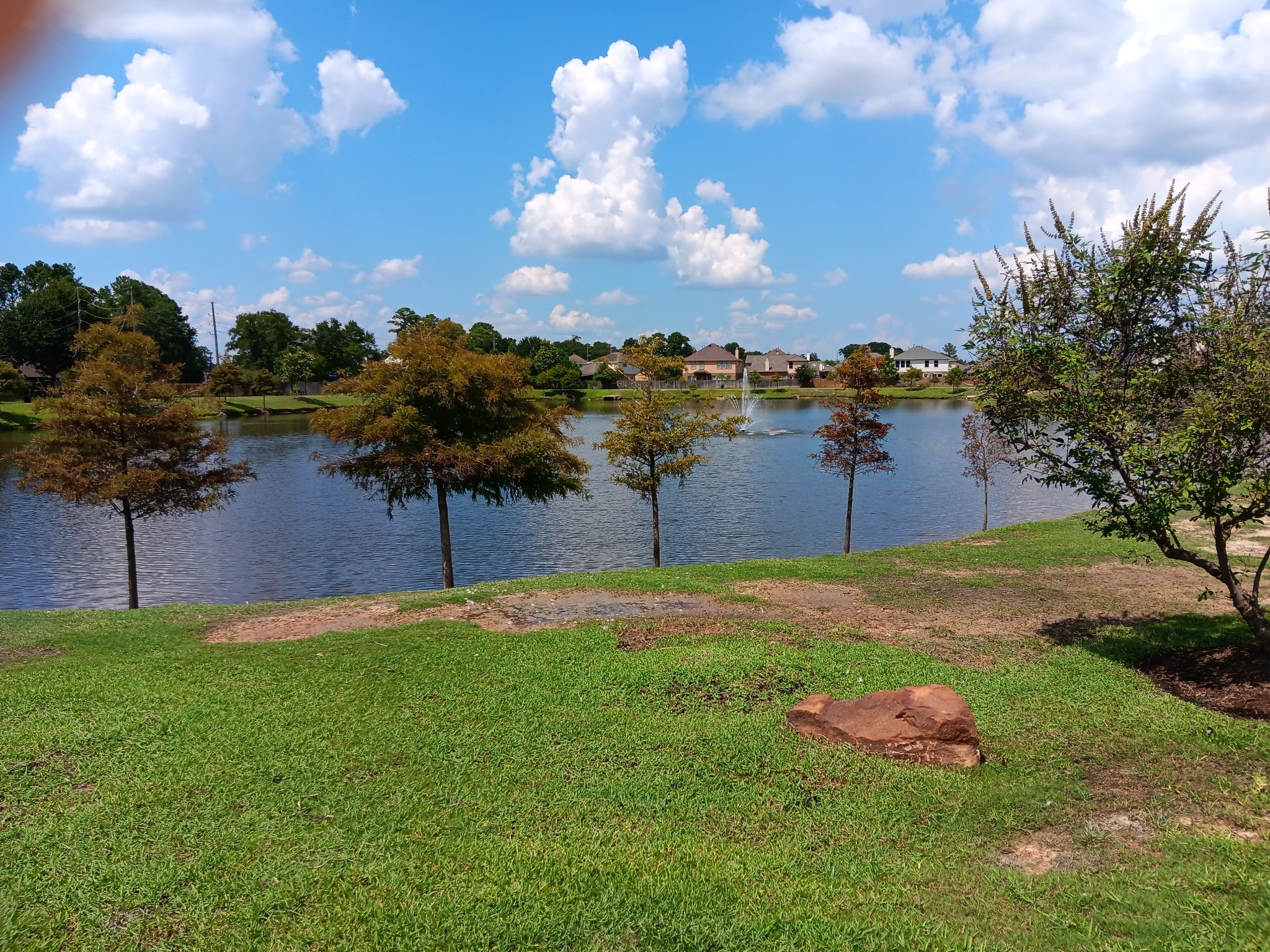 10002 Blissfull Valley Lane Property Photo 28