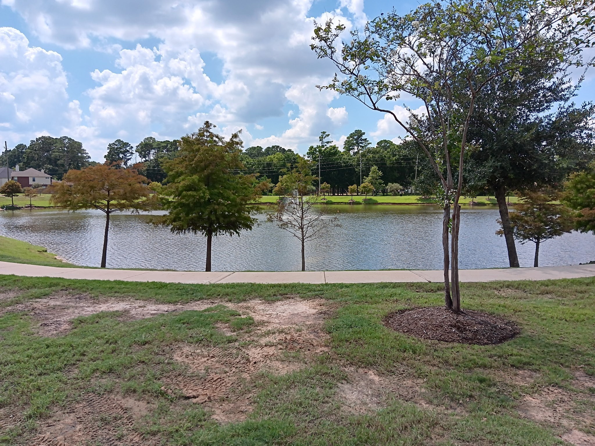 10002 Blissfull Valley Lane Property Photo 29