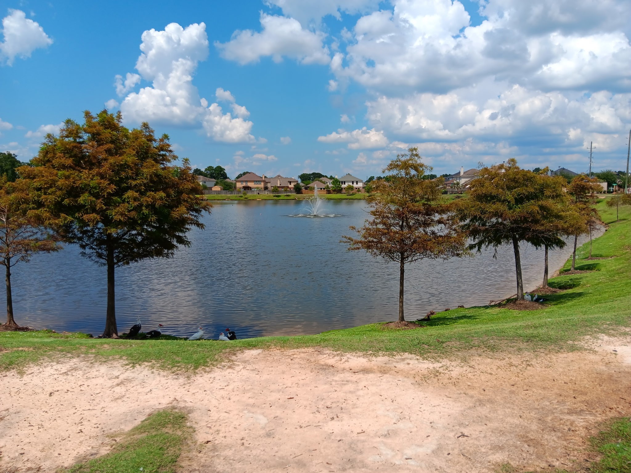 10002 Blissfull Valley Lane Property Photo 31