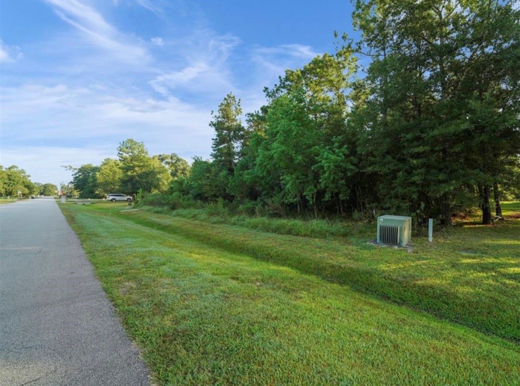 4007 Hidden Winds Drive Property Photo 4
