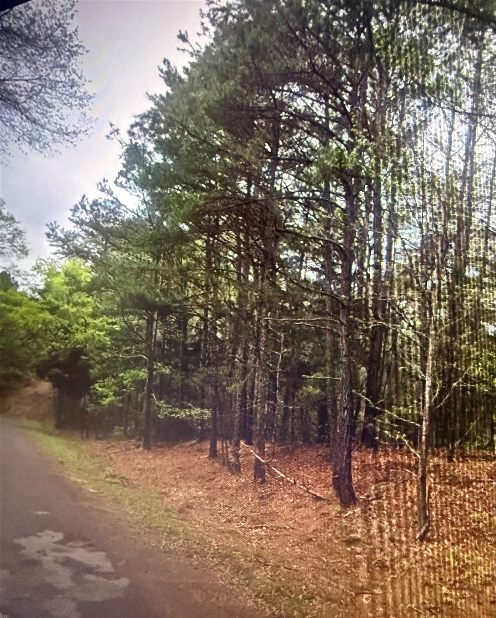0 County Road 375