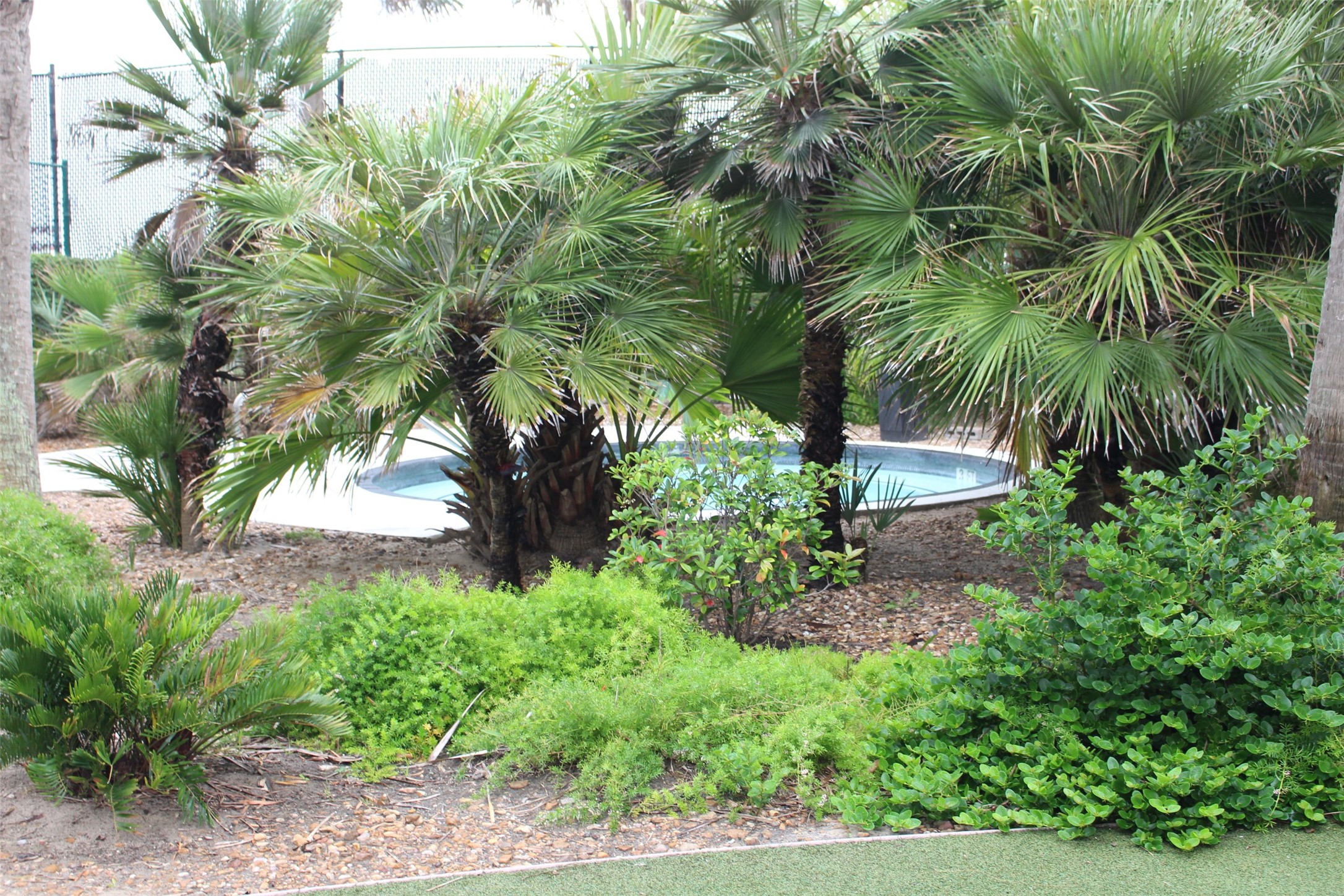 10327 Termini San Luis Pass Road 515 Property Photo 6