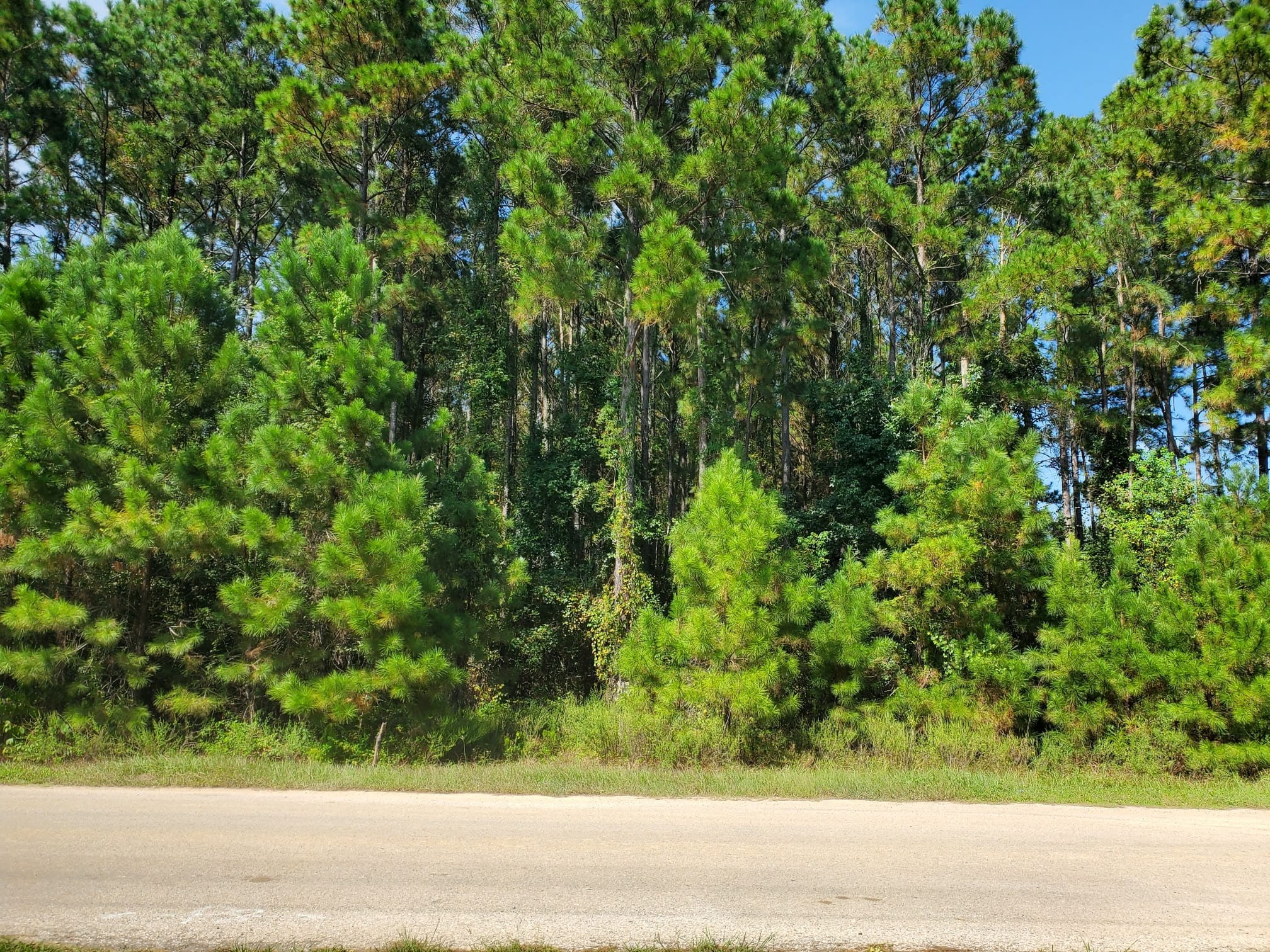 1307 County Road 3479j Property Photo 2