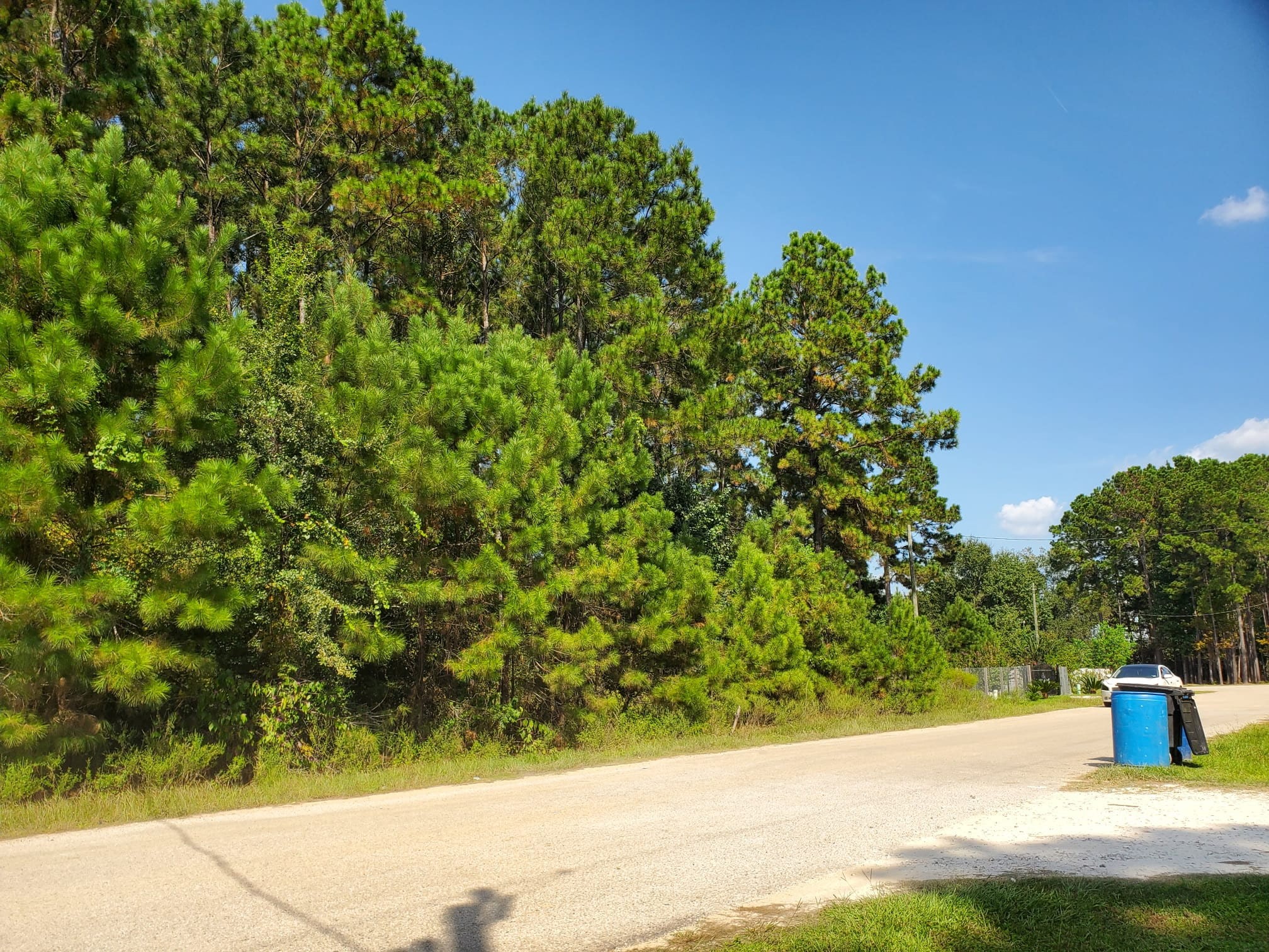 1307 County Road 3479j Property Photo 4