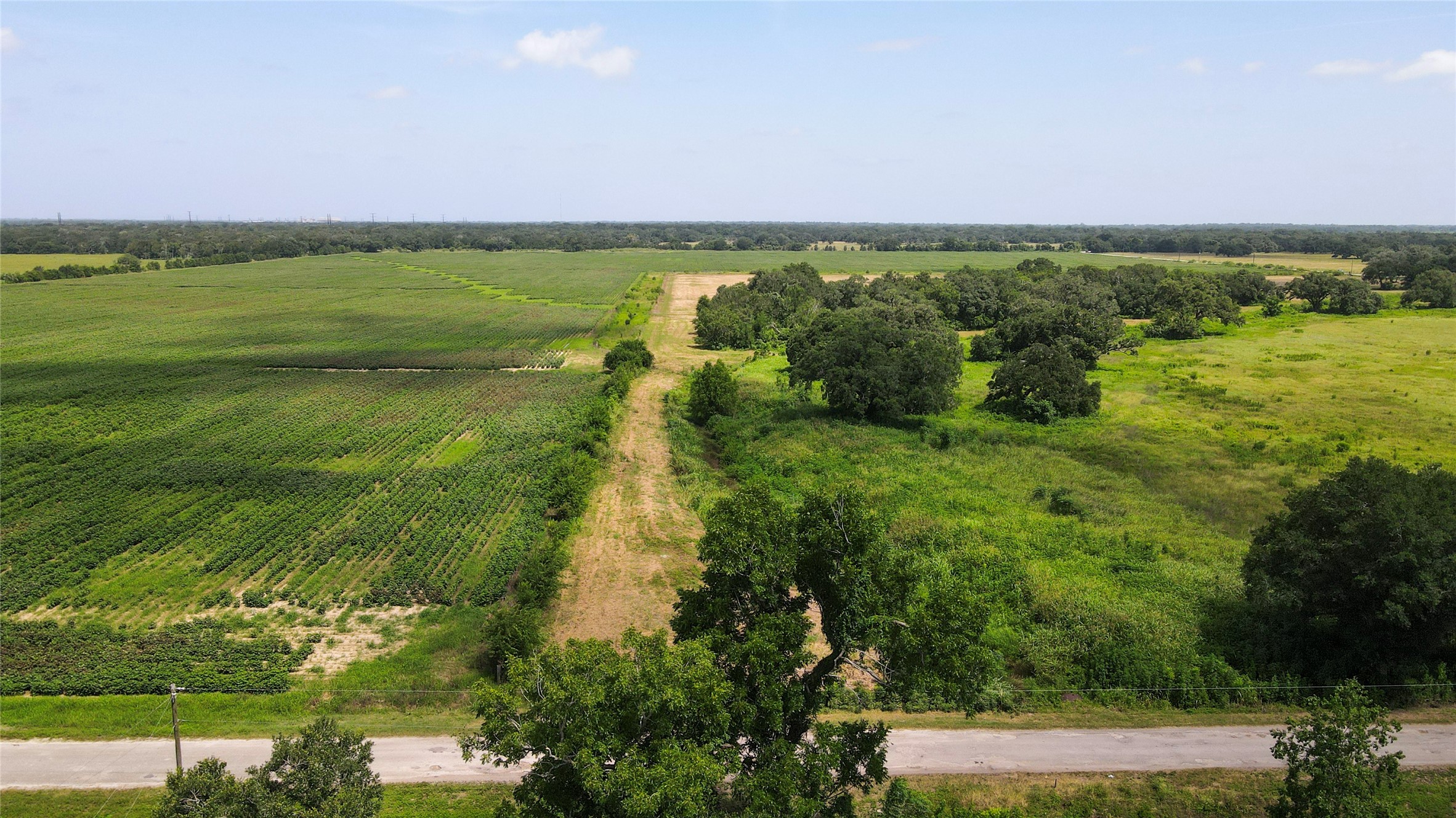 Tbd Cr 126 Property Photo 14