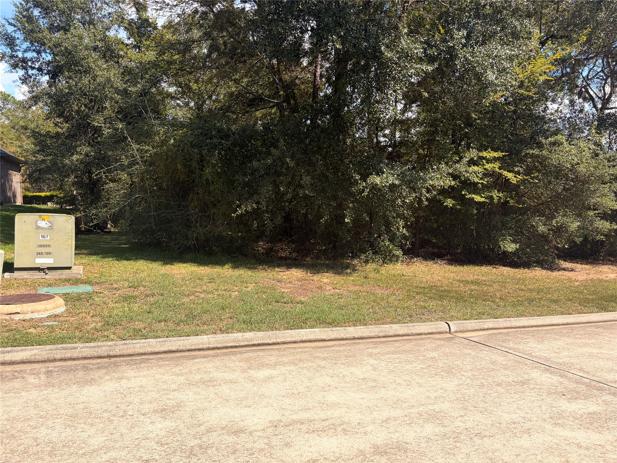 313 Pine Brook Drive Property Photo 3