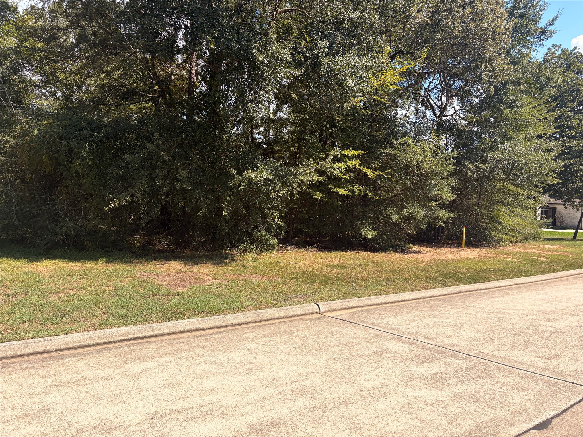 313 Pine Brook Drive Property Photo 4
