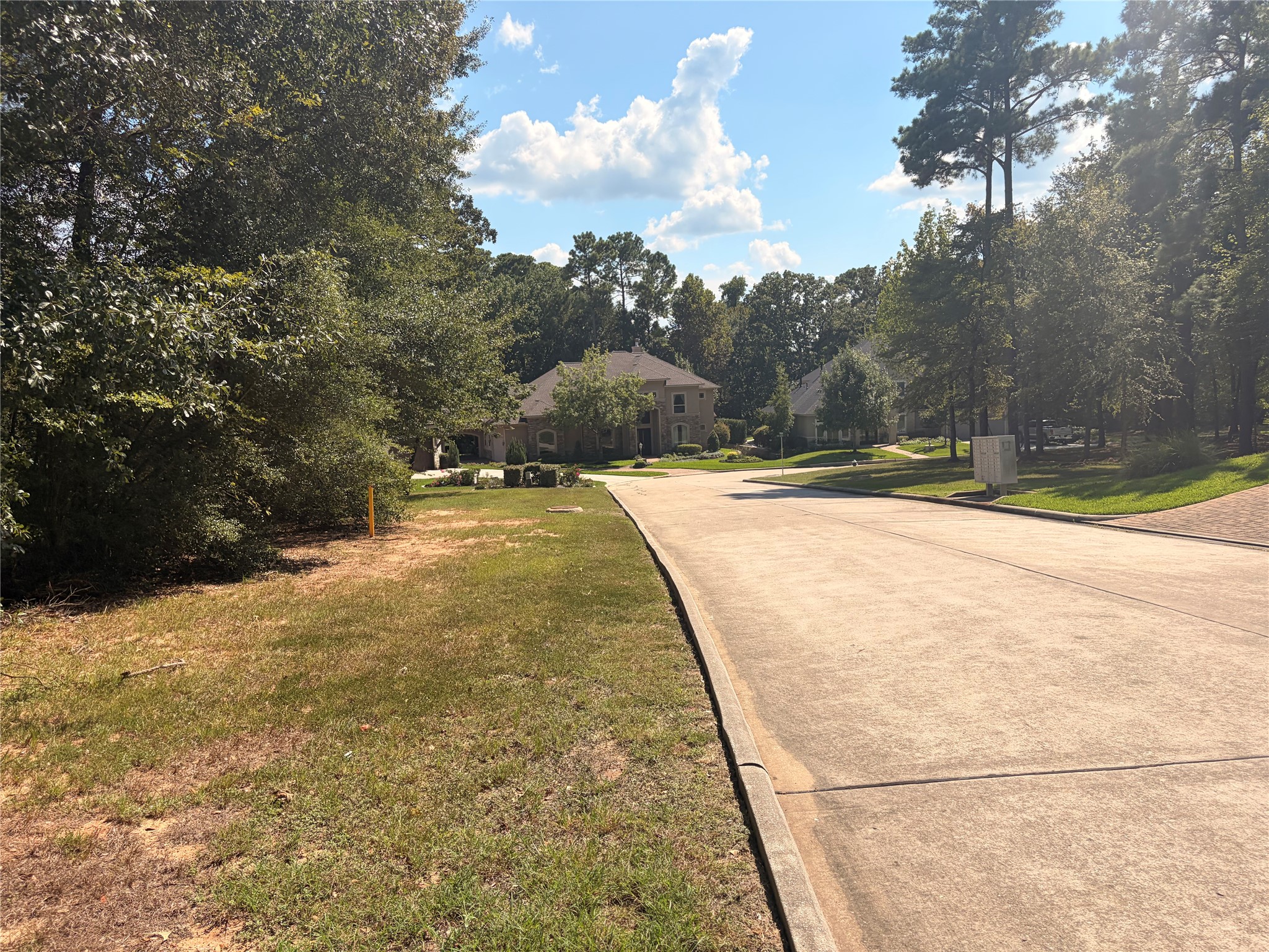 313 Pine Brook Drive Property Photo 8