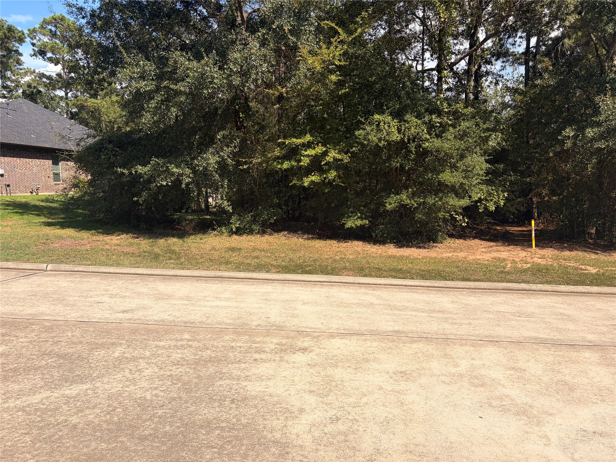 313 Pine Brook Drive Property Photo 9