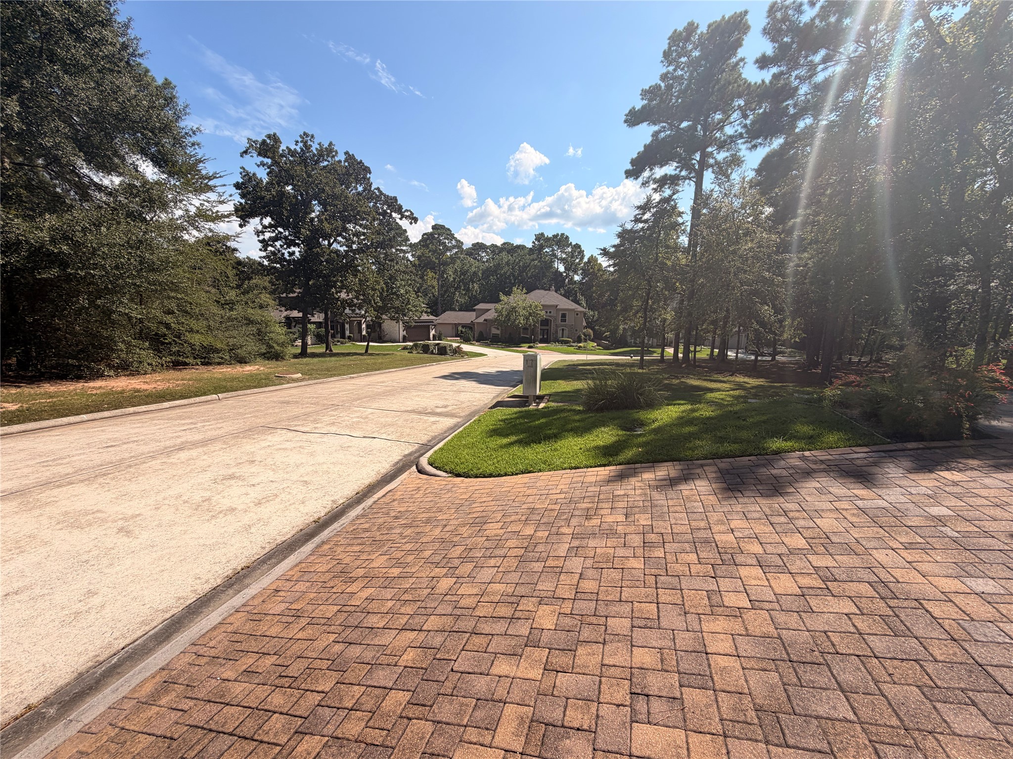313 Pine Brook Drive Property Photo 11