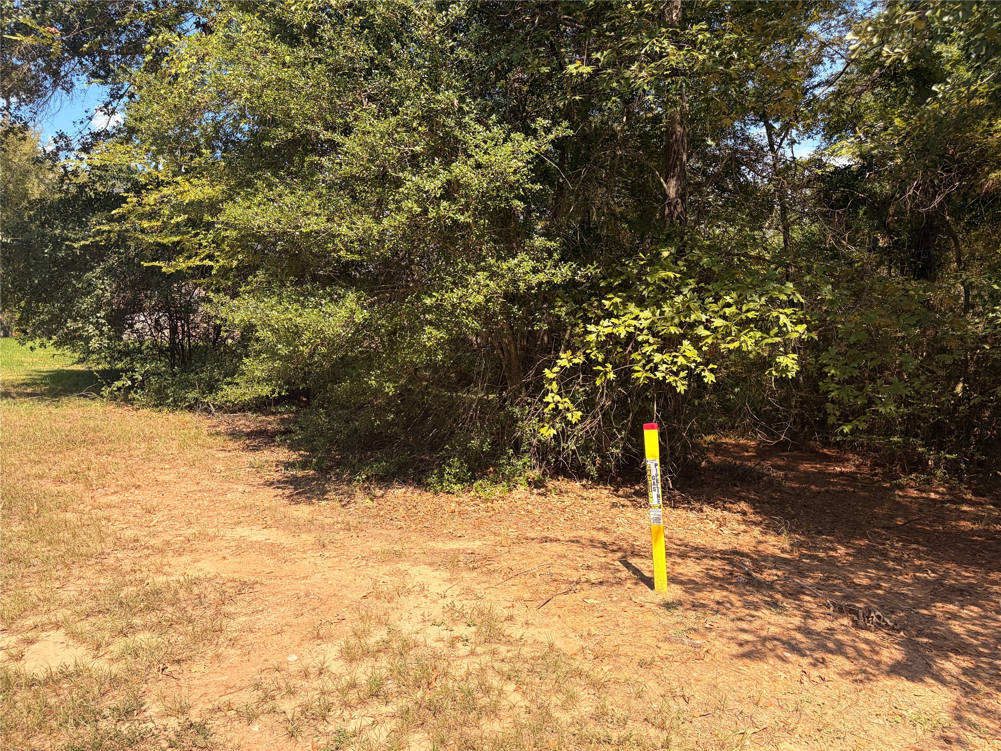 313 Pine Brook Drive Property Photo 16