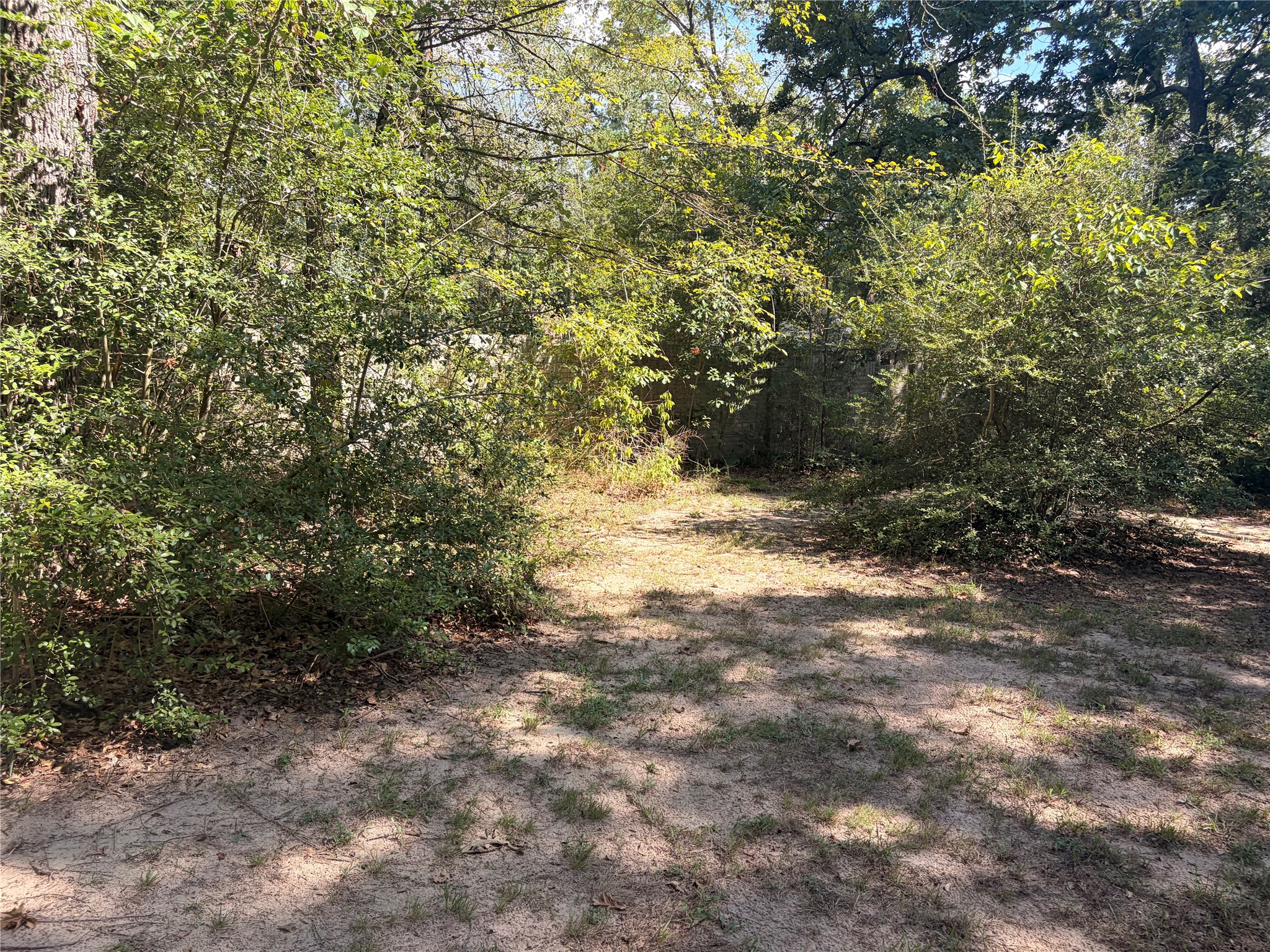 313 Pine Brook Drive Property Photo 25