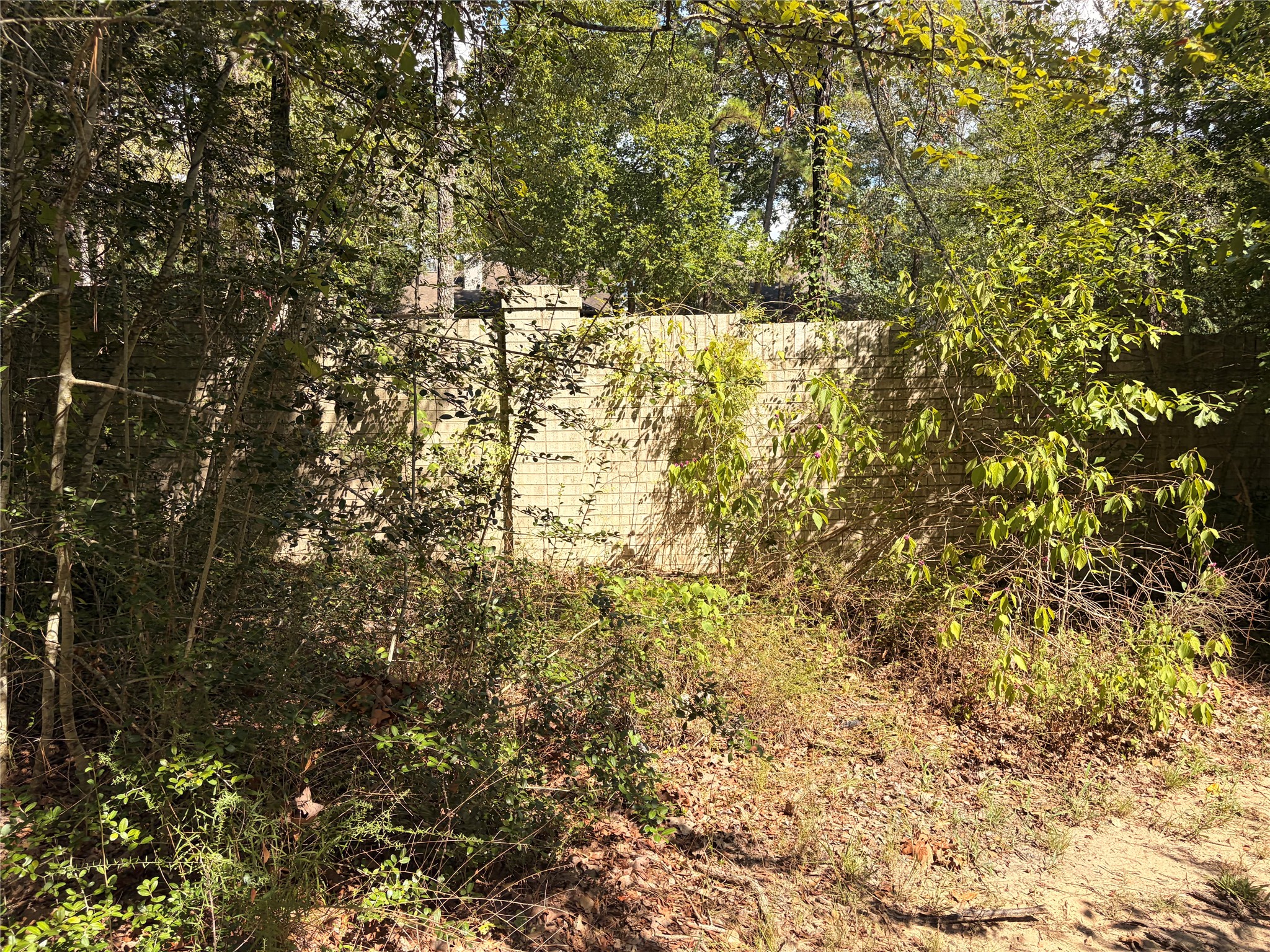 313 Pine Brook Drive Property Photo 26